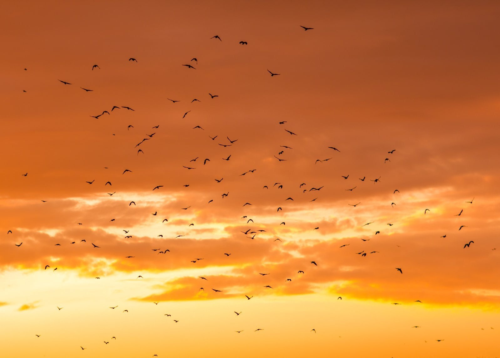 Фотограф Севастополь/Крым Светлана Евтушенко