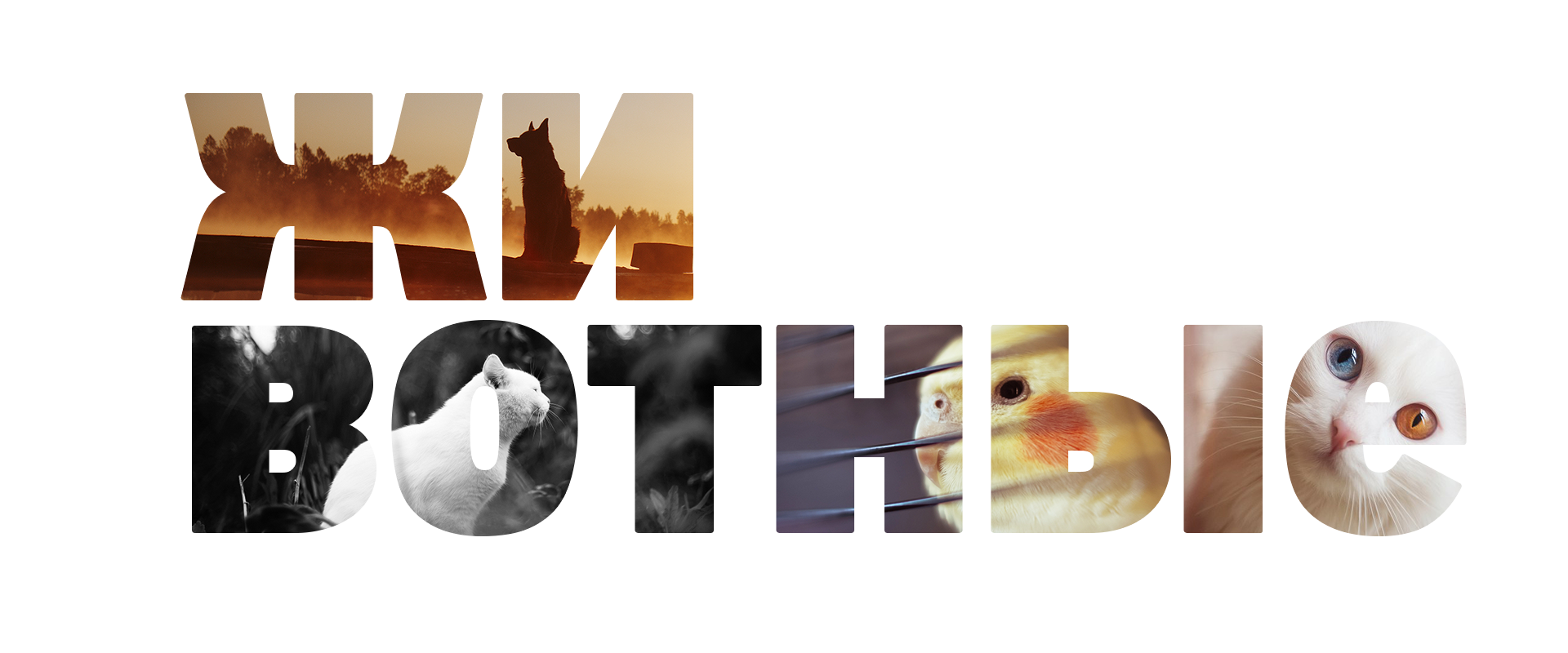 Повелительница Света