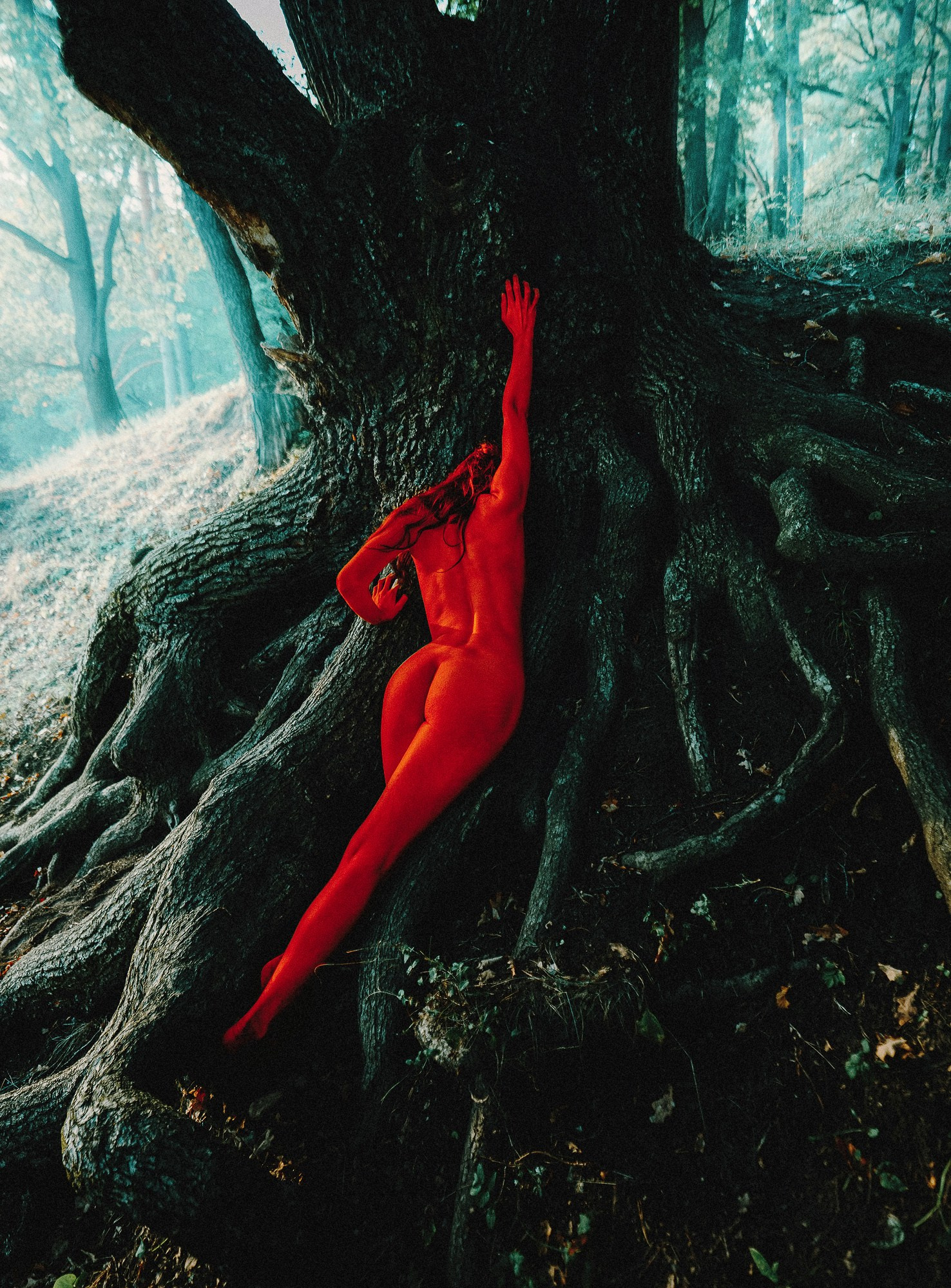 МЕТАТУНДРА. Visual artist Daniil Kontorovich