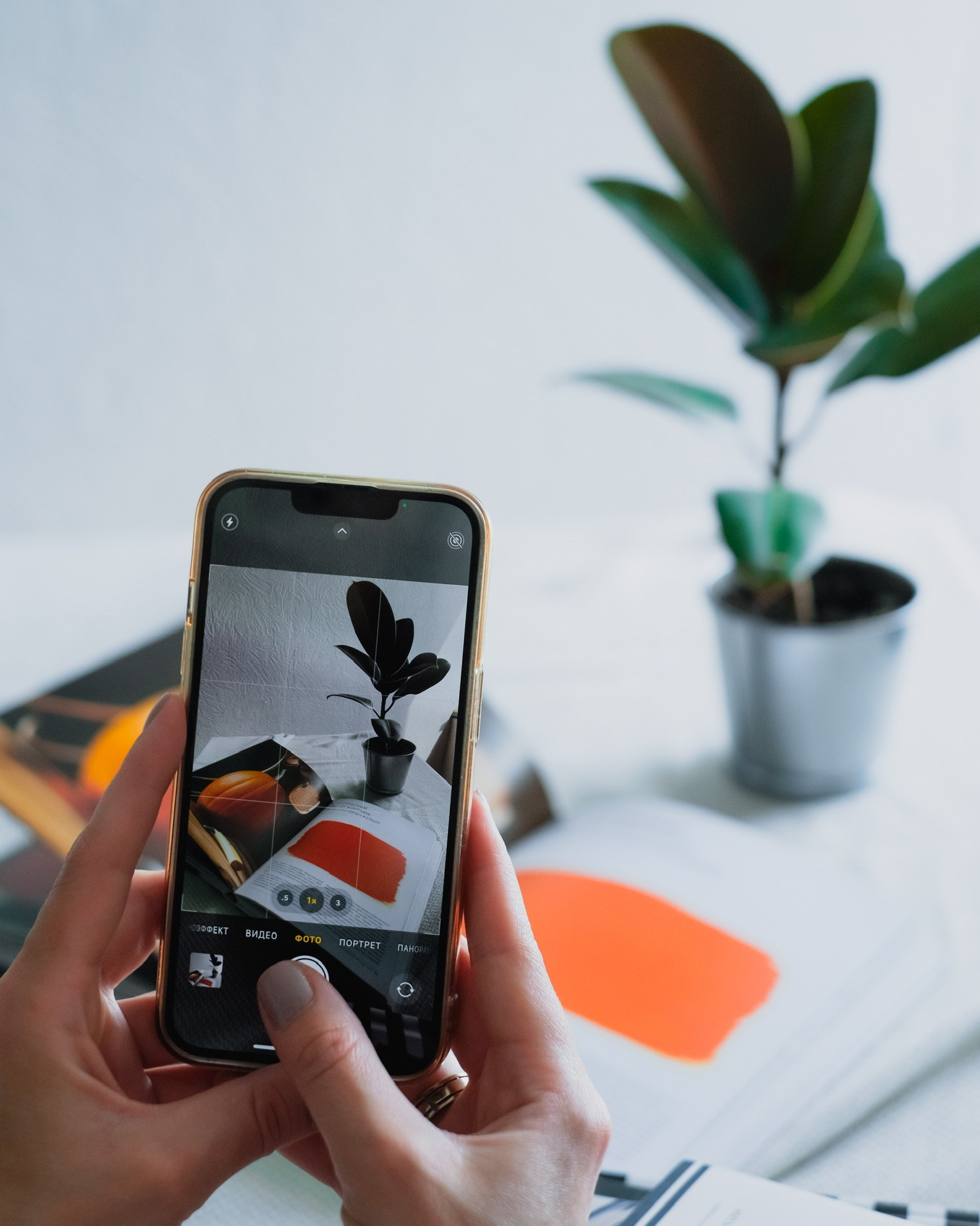 Студия. Фотограф в Москве Мария Лисичкина