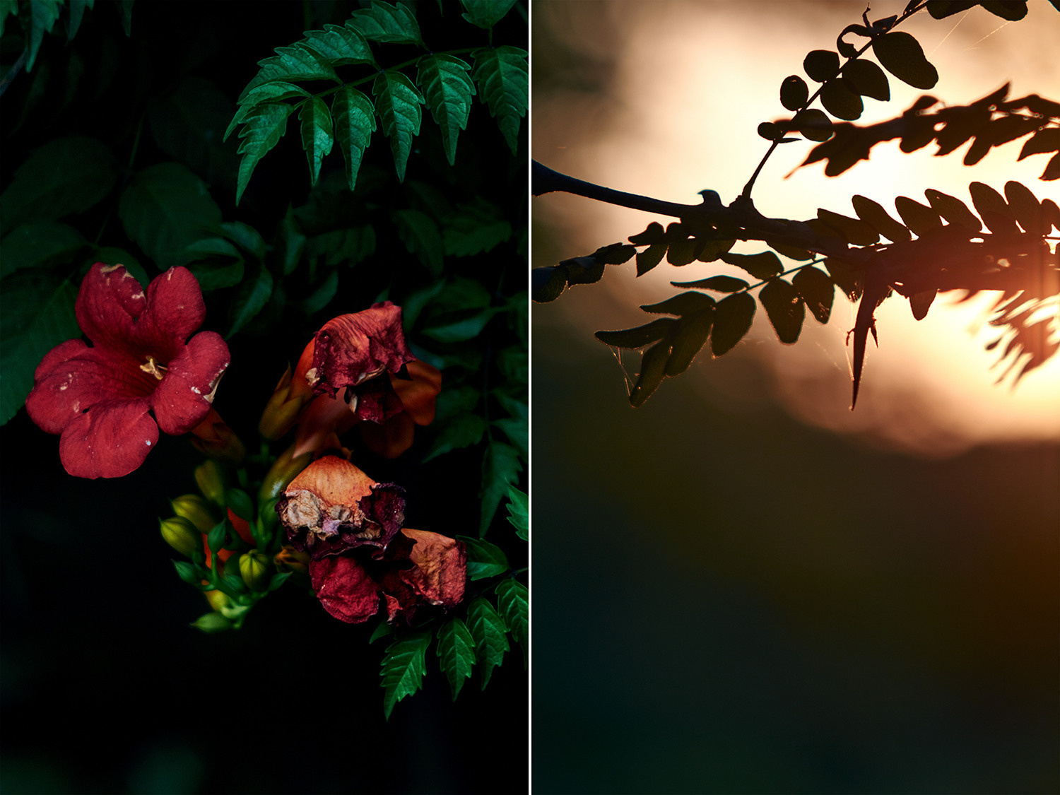 Скрытые фигуры 22.11 — 22.12.2021