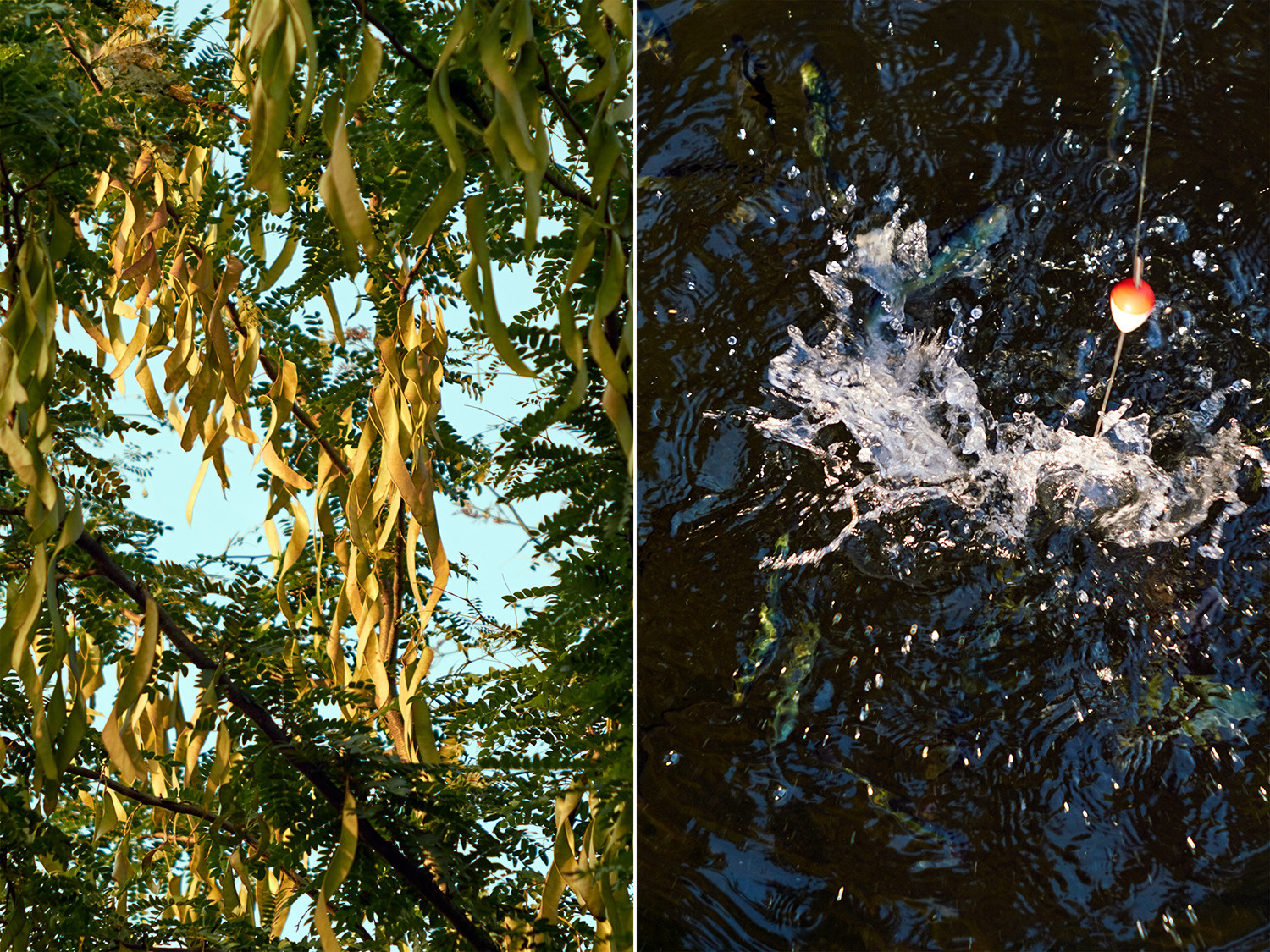 Скрытые фигуры 22.11 — 22.12.2021