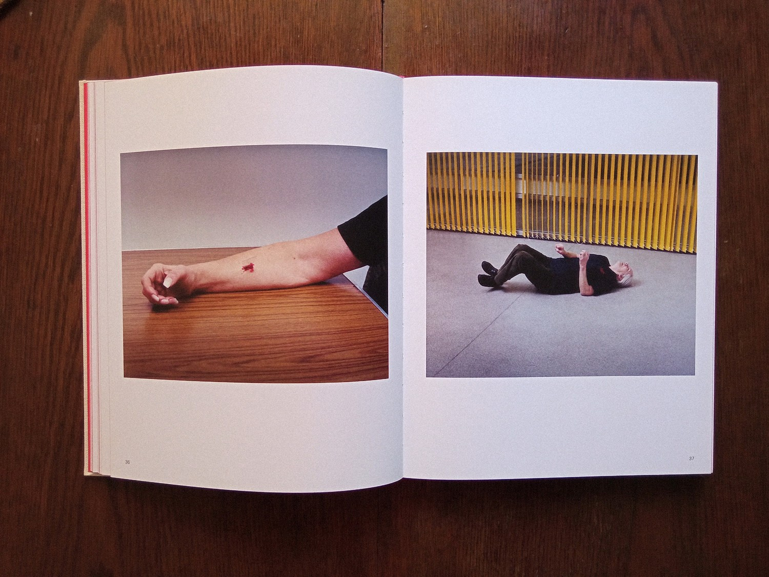 Книга «A perfect sentence» Оливера Чанарина. Private image