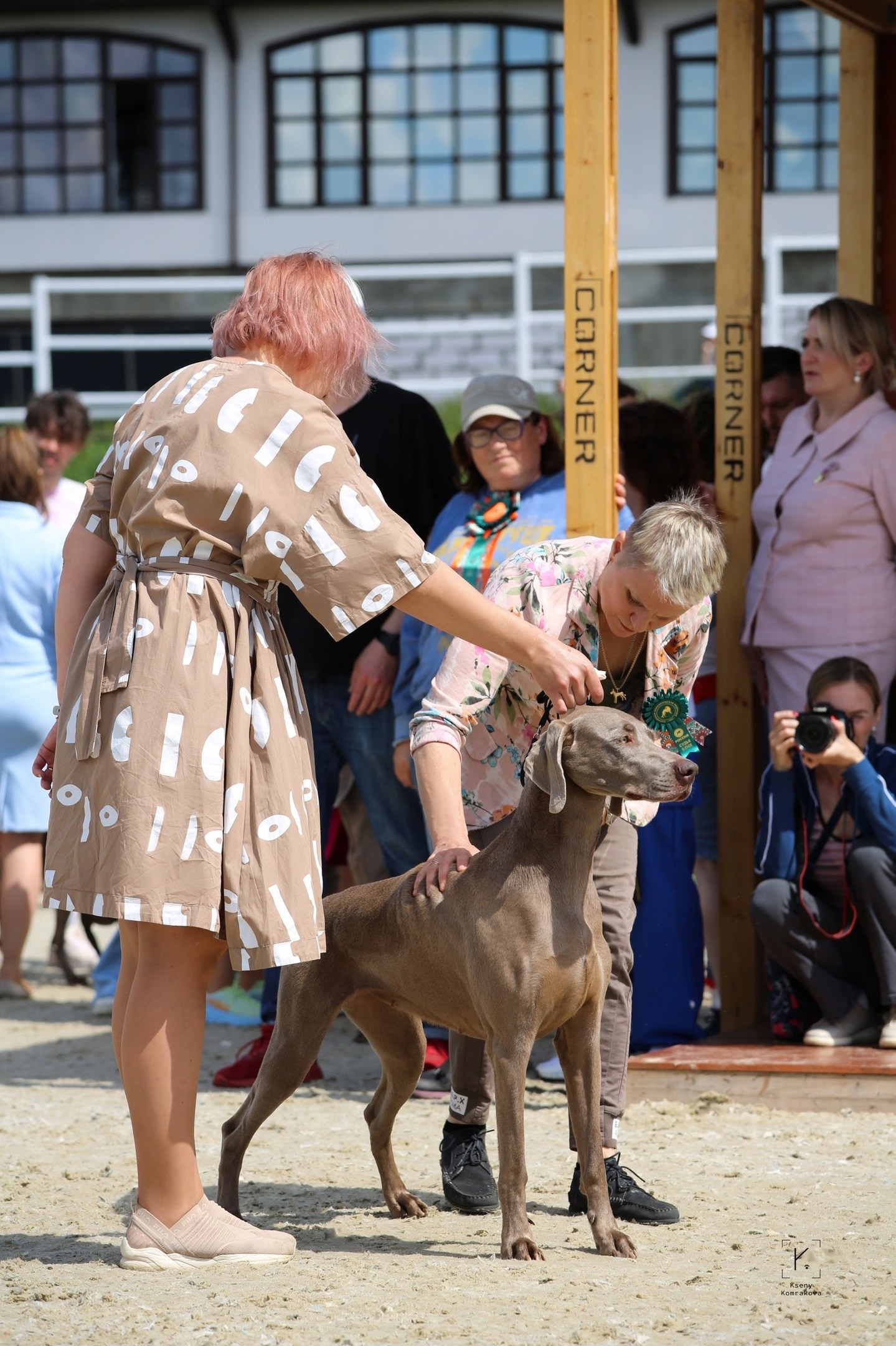 Анималистика. Репортаж. Индивидуальная съемка