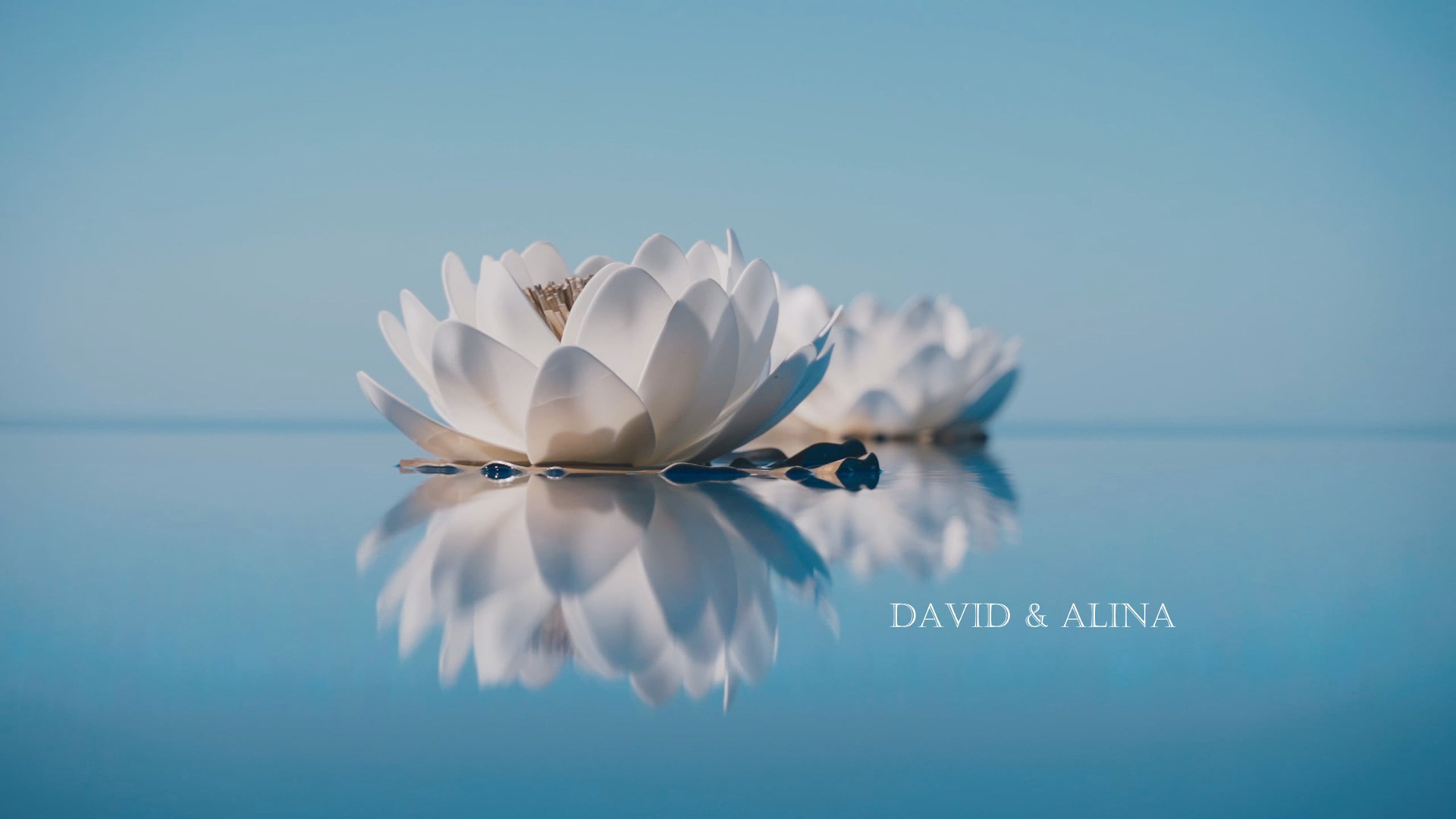 Красивое свадебное видео SDE, показанное в этот же день на свадьбе. Свадебное видео и фото съемка на свадьбу в Краснодаре Твинс Студио
