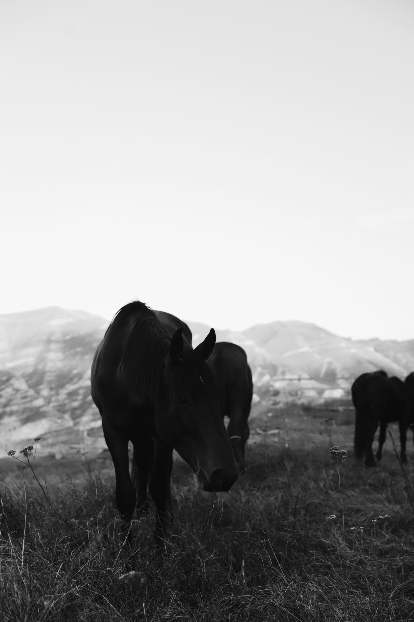 Фотограф Полина Крупская
