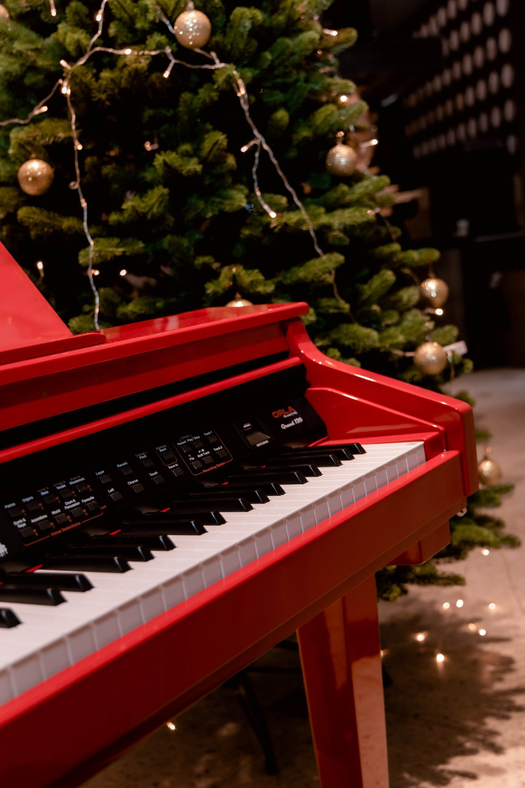 ОТЗЫВЫ. Репортажный, каталожный, корпоративный, семейный фотограф Новосибирск