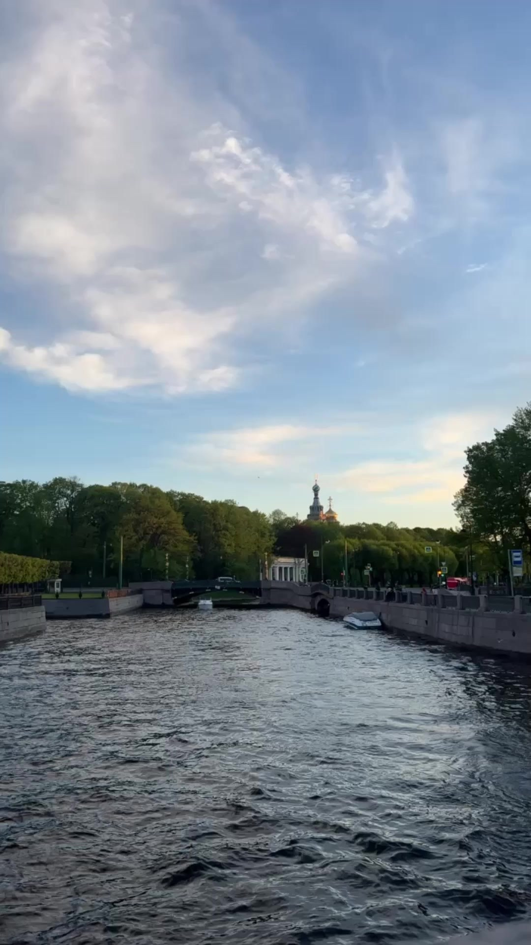 Все пресеты VN | Тёмные. Кинематографичный фотограф, видеограф Лина Плешакова, Санкт-Петербург