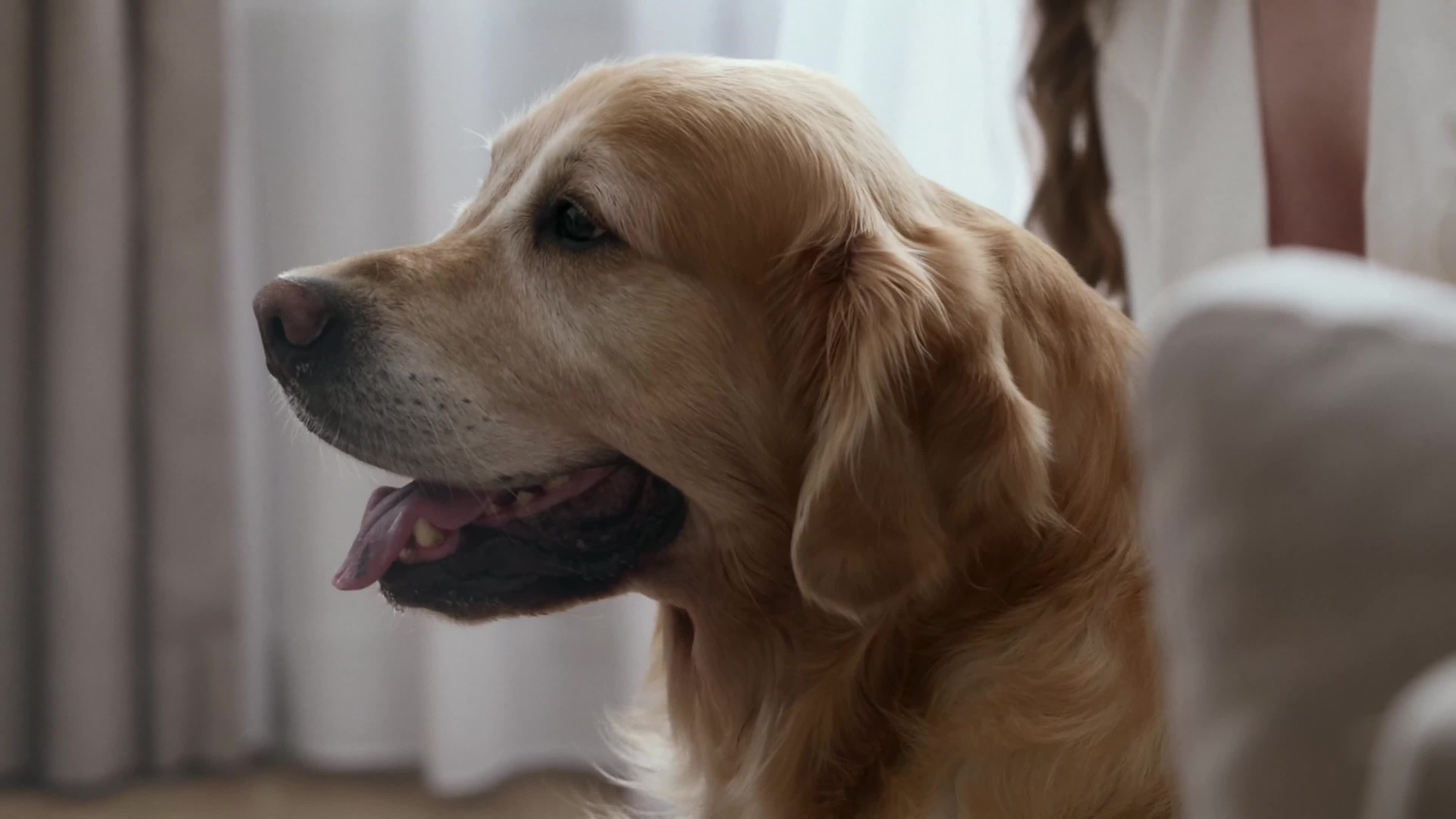 Свадебный видеограф в Москве Владимир Александров