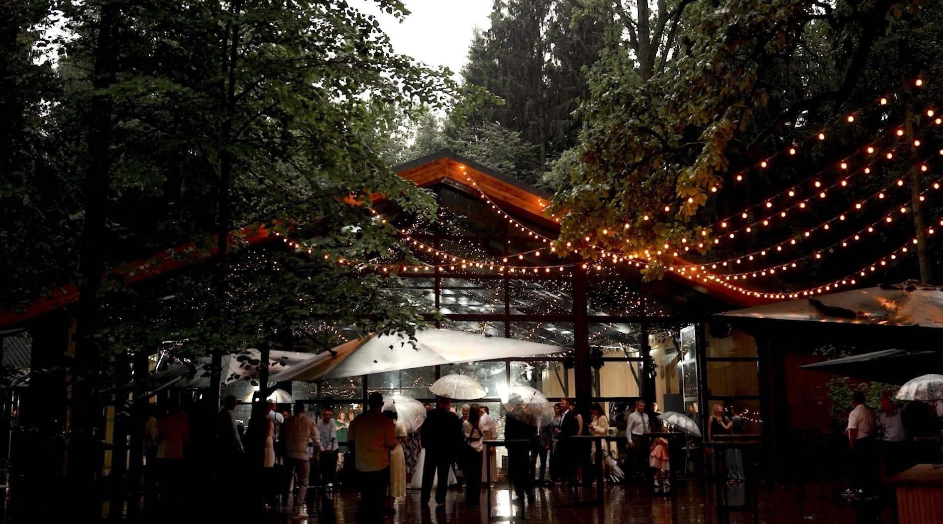 Свадебный видеограф Богатова Елена