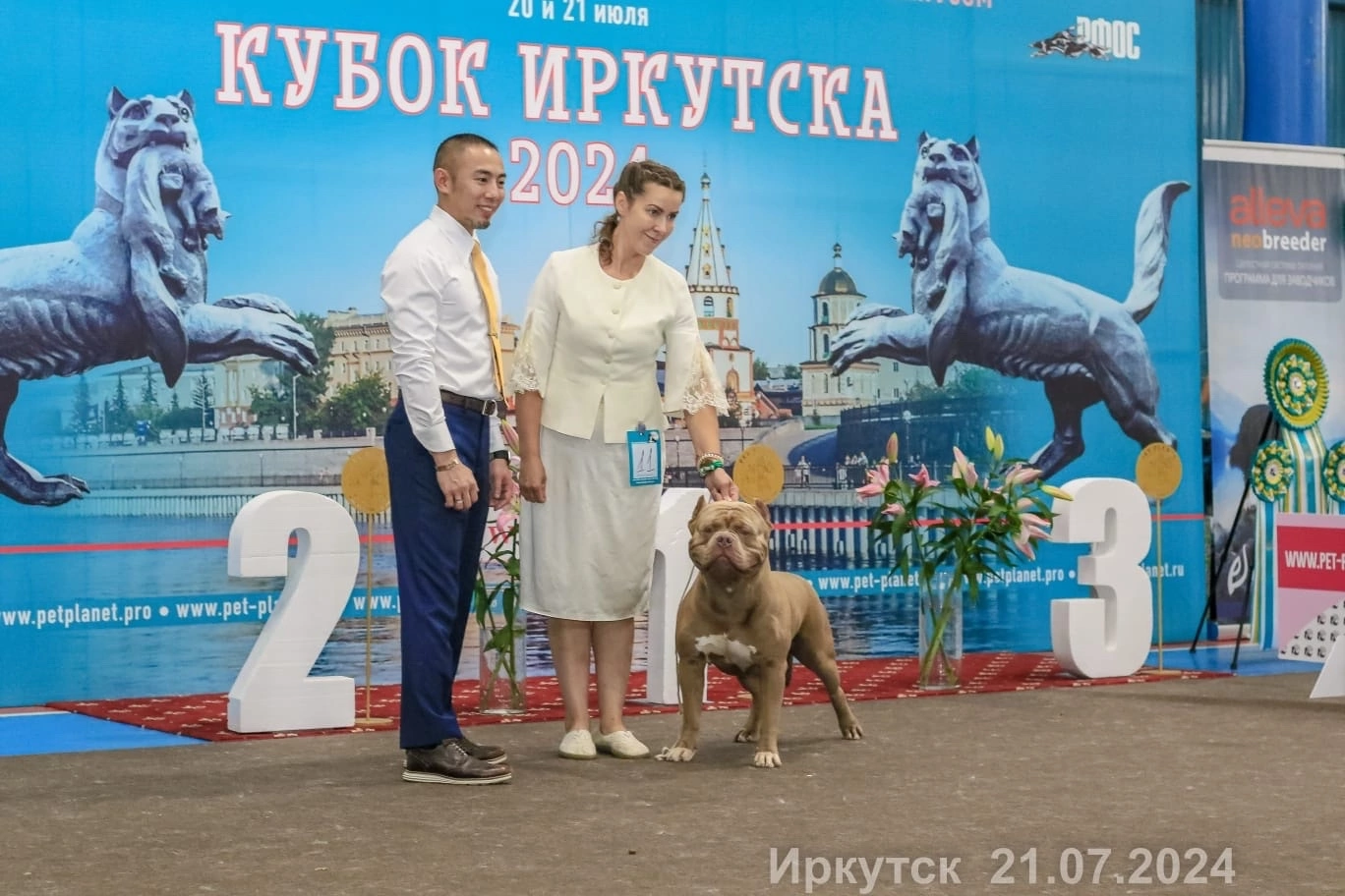 Участие в выставках. Американские булли XL в г. Калининград. Питомник Great Bully UNIVERSE
