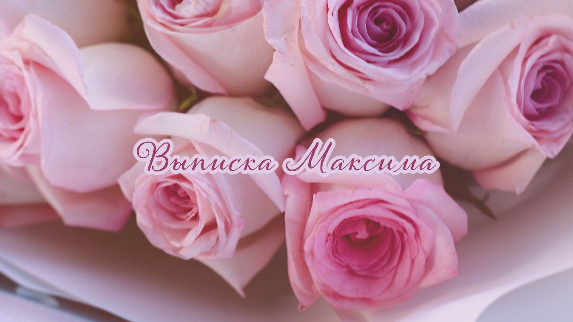 Выписка. Видеосъёмка праздников в Краснодаре