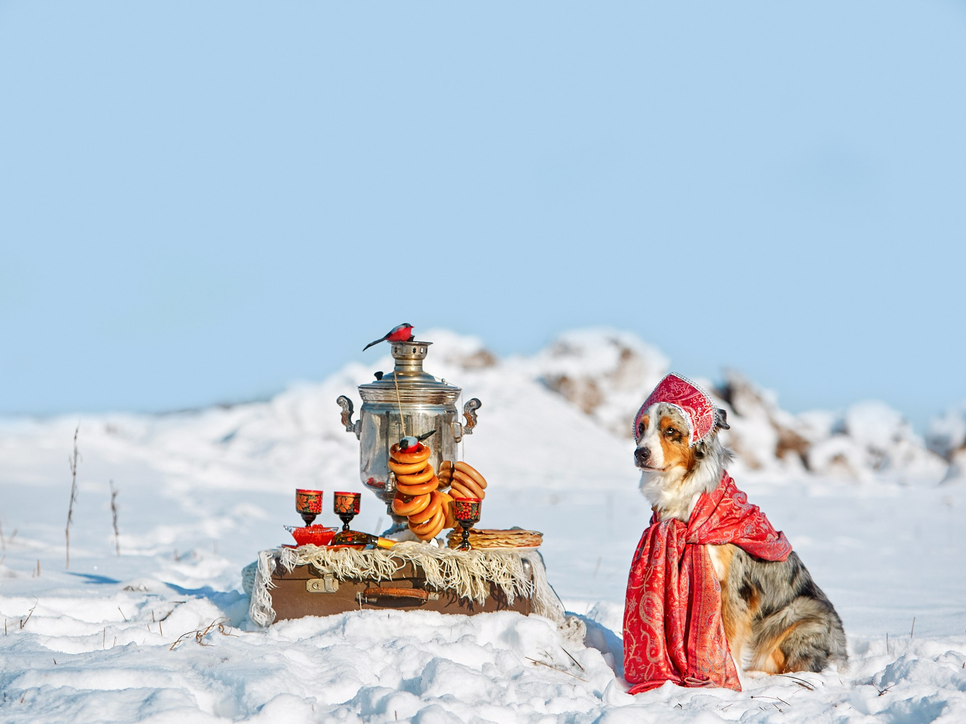 Блог. Детский и семейный фотограф в Нижнем Новгороде Мячикова Наталья