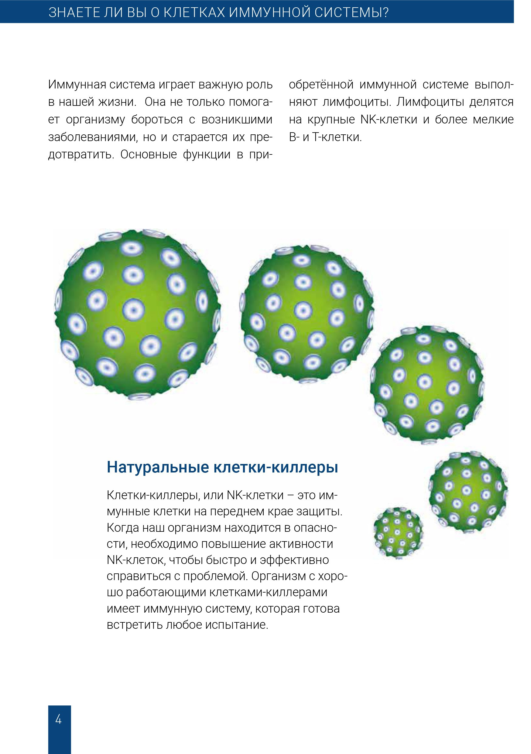 Натуральные клетки киллеры в иммунной системе