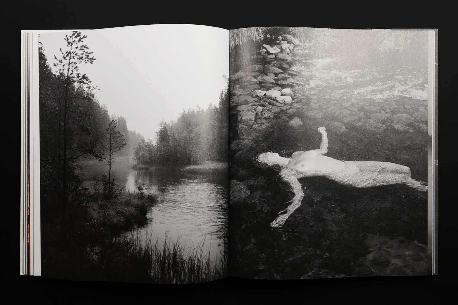 INTERVIEW WITH THE ARTIST: Maja Daniels. Самоорганизация Низина