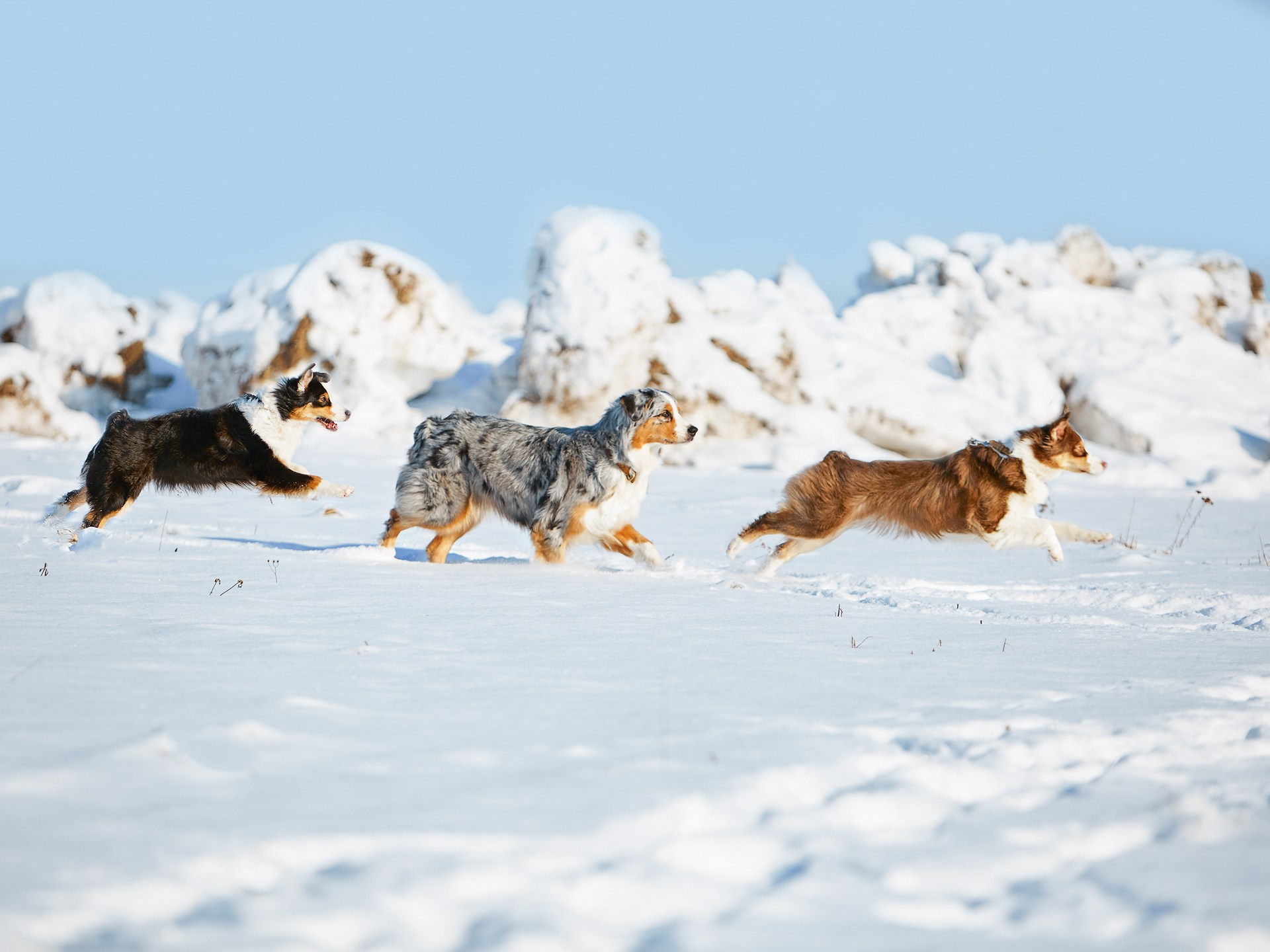 Блог. Детский и семейный фотограф в Нижнем Новгороде Мячикова Наталья