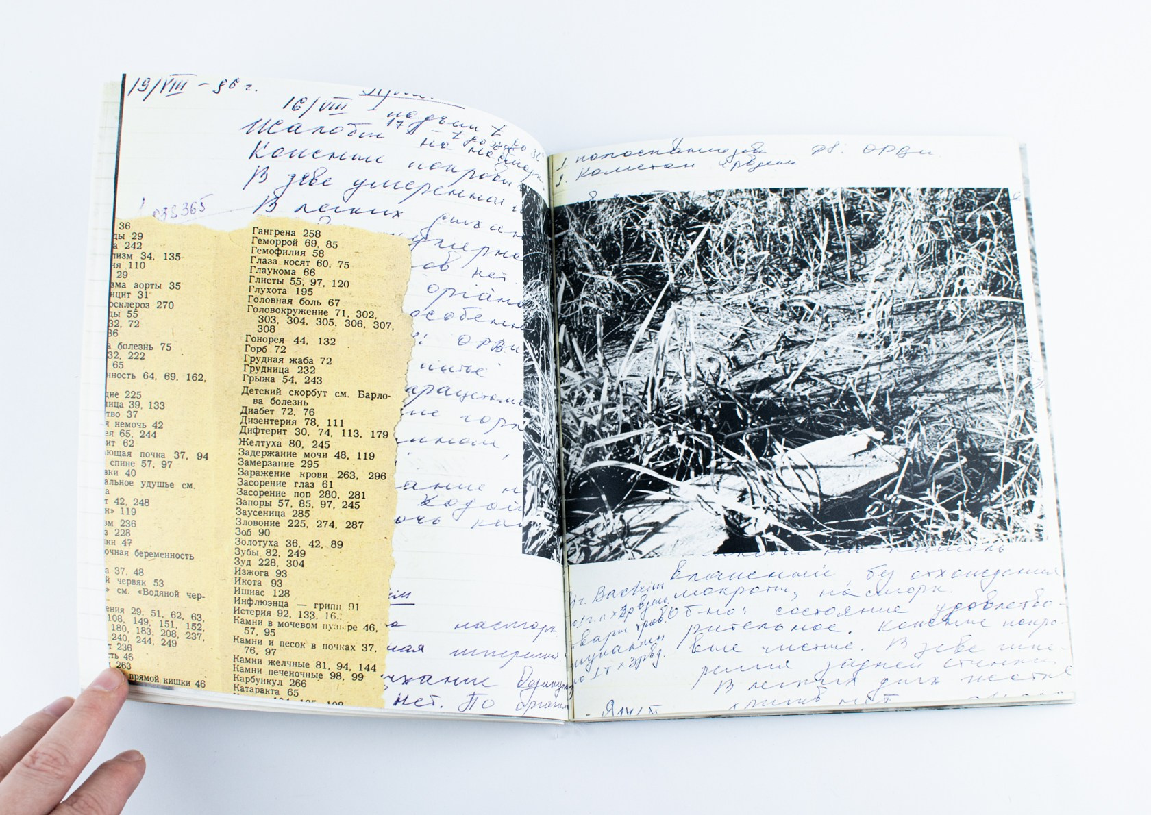 Ты, пожалуйста, не болей!. Katya Medvedeva