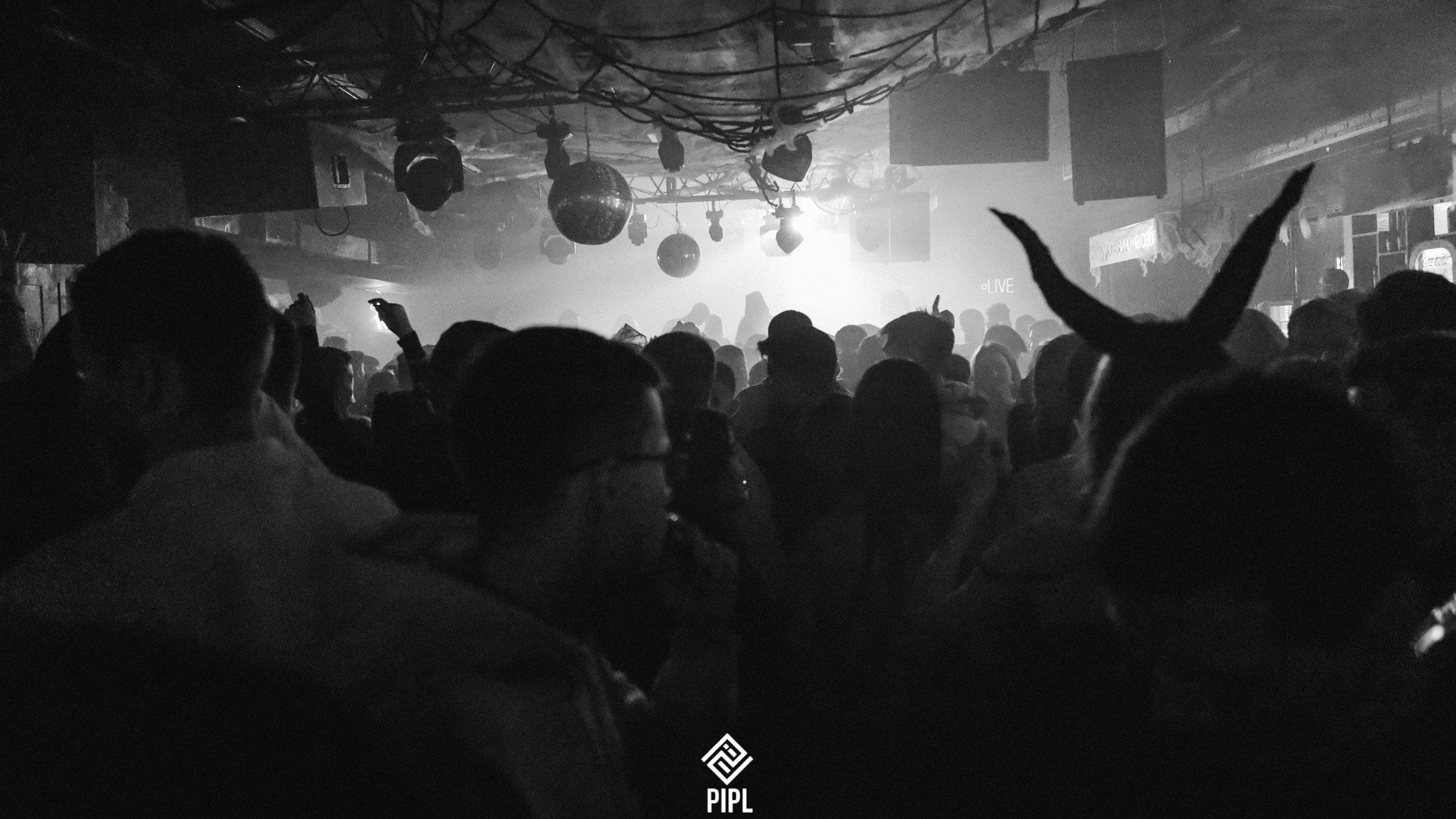 Pipl Club. Фотограф Владимир Молоканов