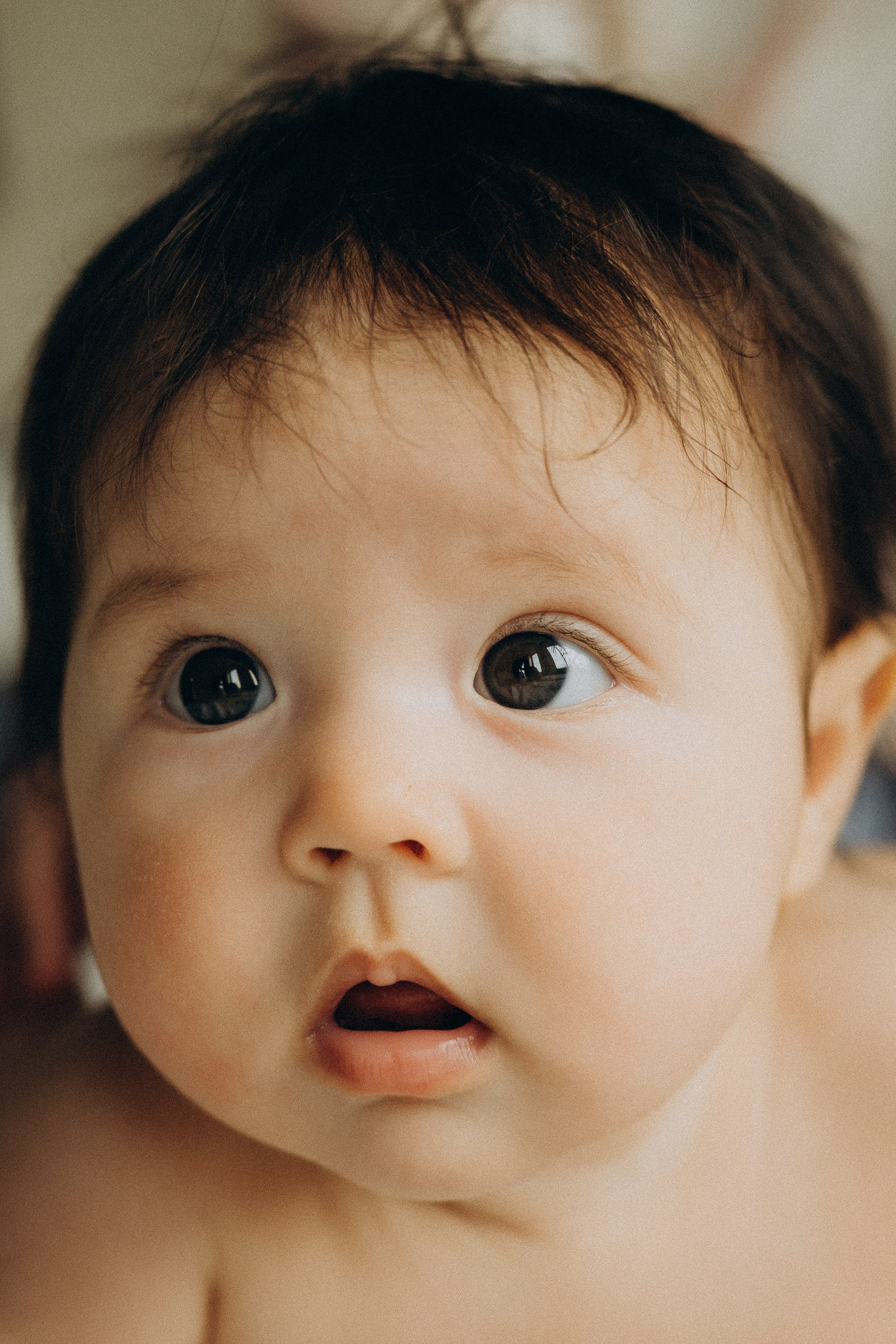 Фотограф семей в домашних условиях