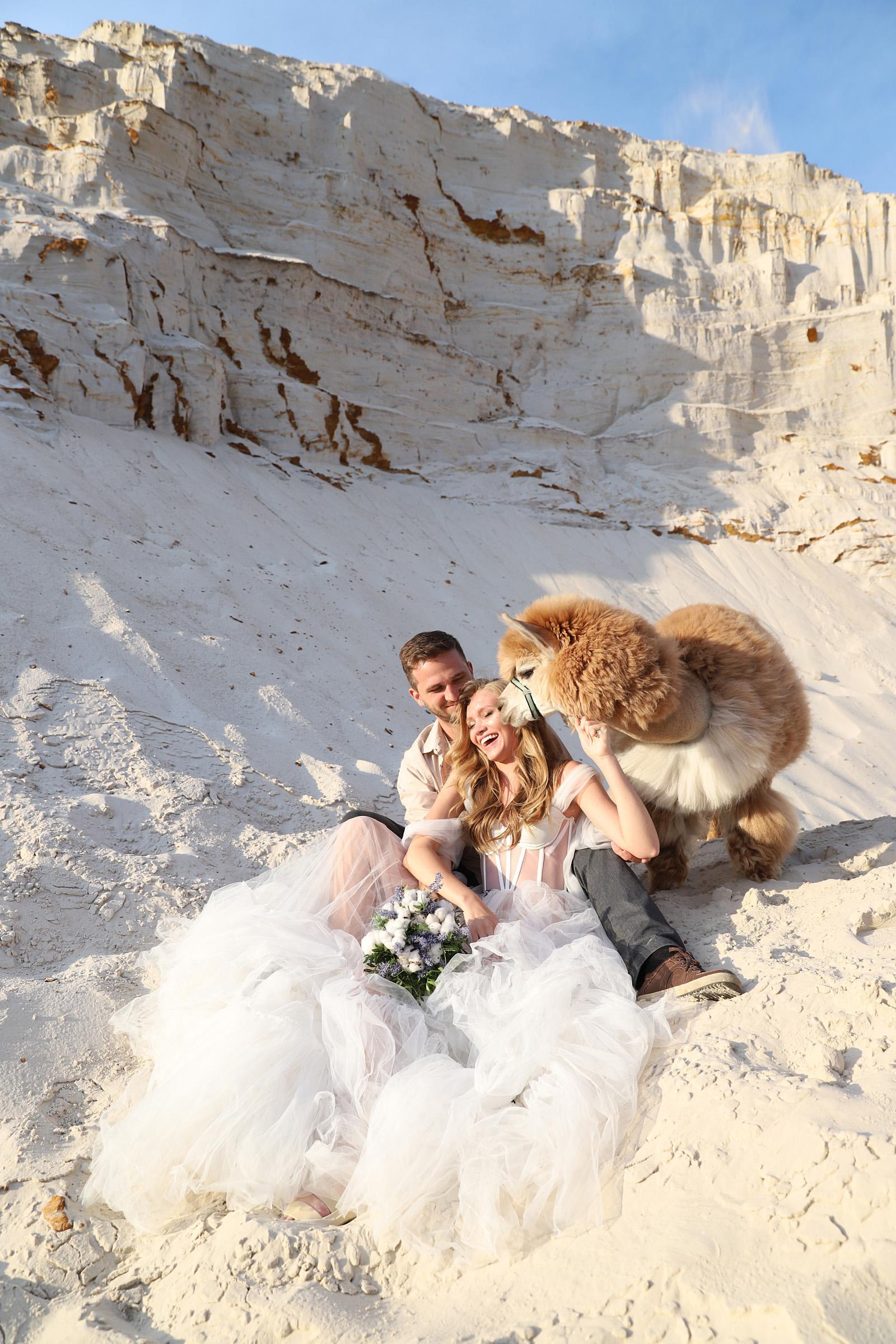 Главная. Портфолио