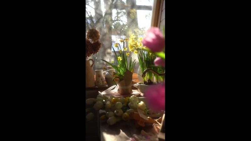 ВидеоИстории. Семейный и детский фотограф в Сергиев Посаде, Хотьково Якимчук Любовь