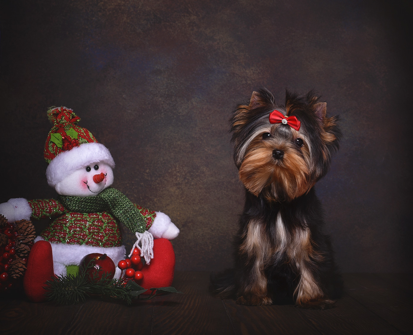 Питомник Йоркширских терьеров Дэнстайл в Санкт-Петербурге заводчик Тих