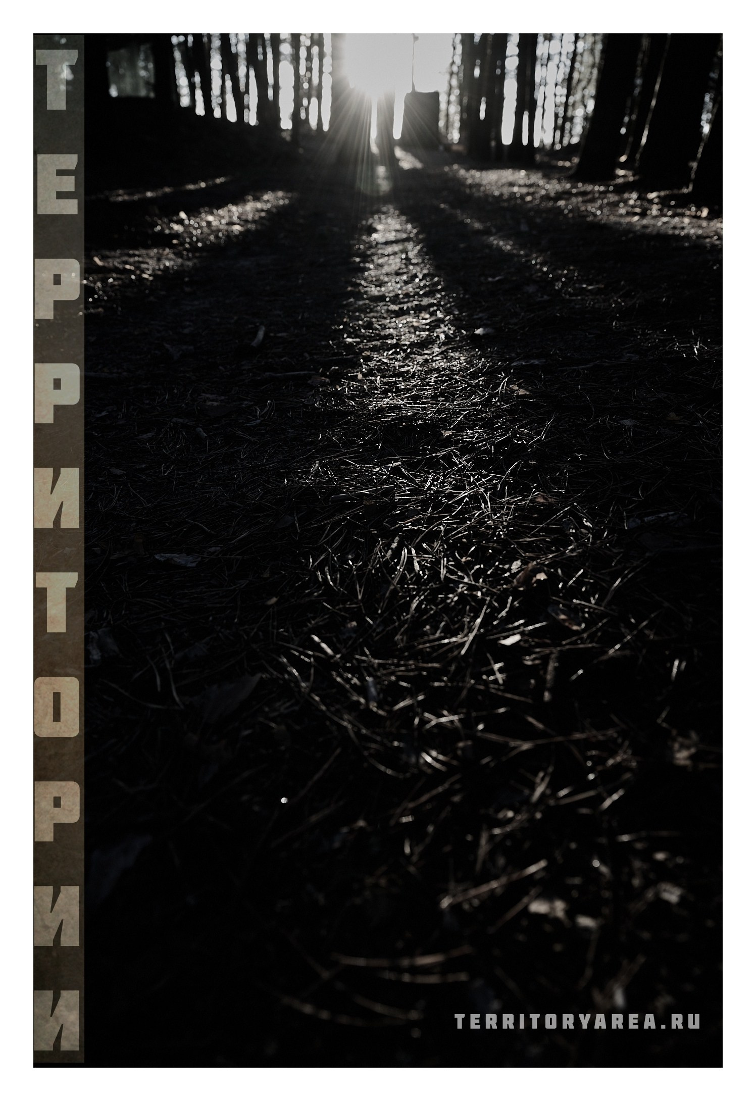 Фотопринты А3. Фотопроект «Территории»