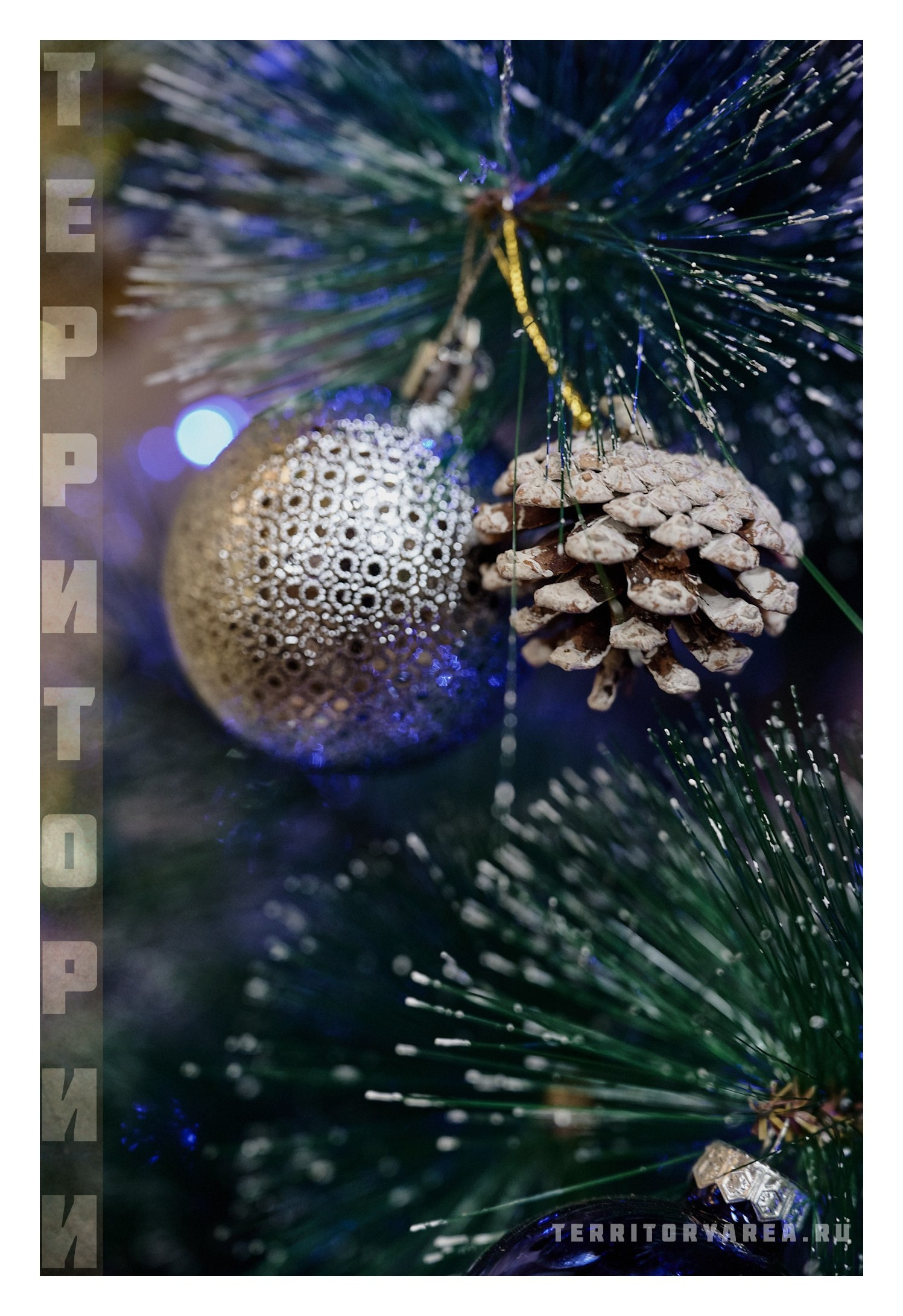 Фотопринты А3. Фотопроект «Территории»