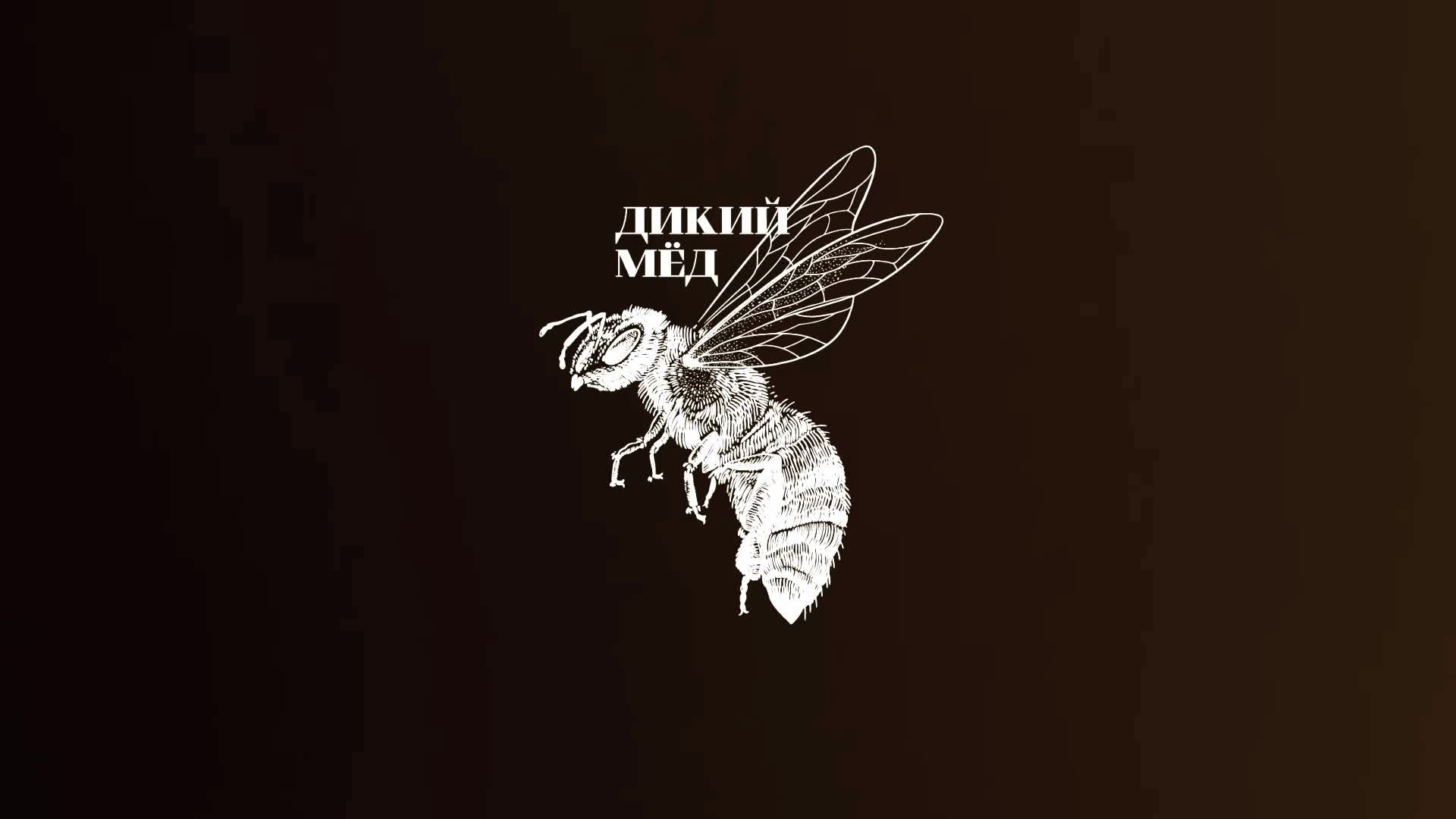 Key-visual продукта для выставки. Студия рекламной и предметной съемки товаров WELKO Studio