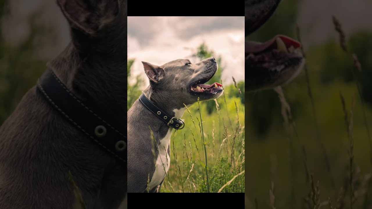 За кадром. Фотограф Каримов Виктор