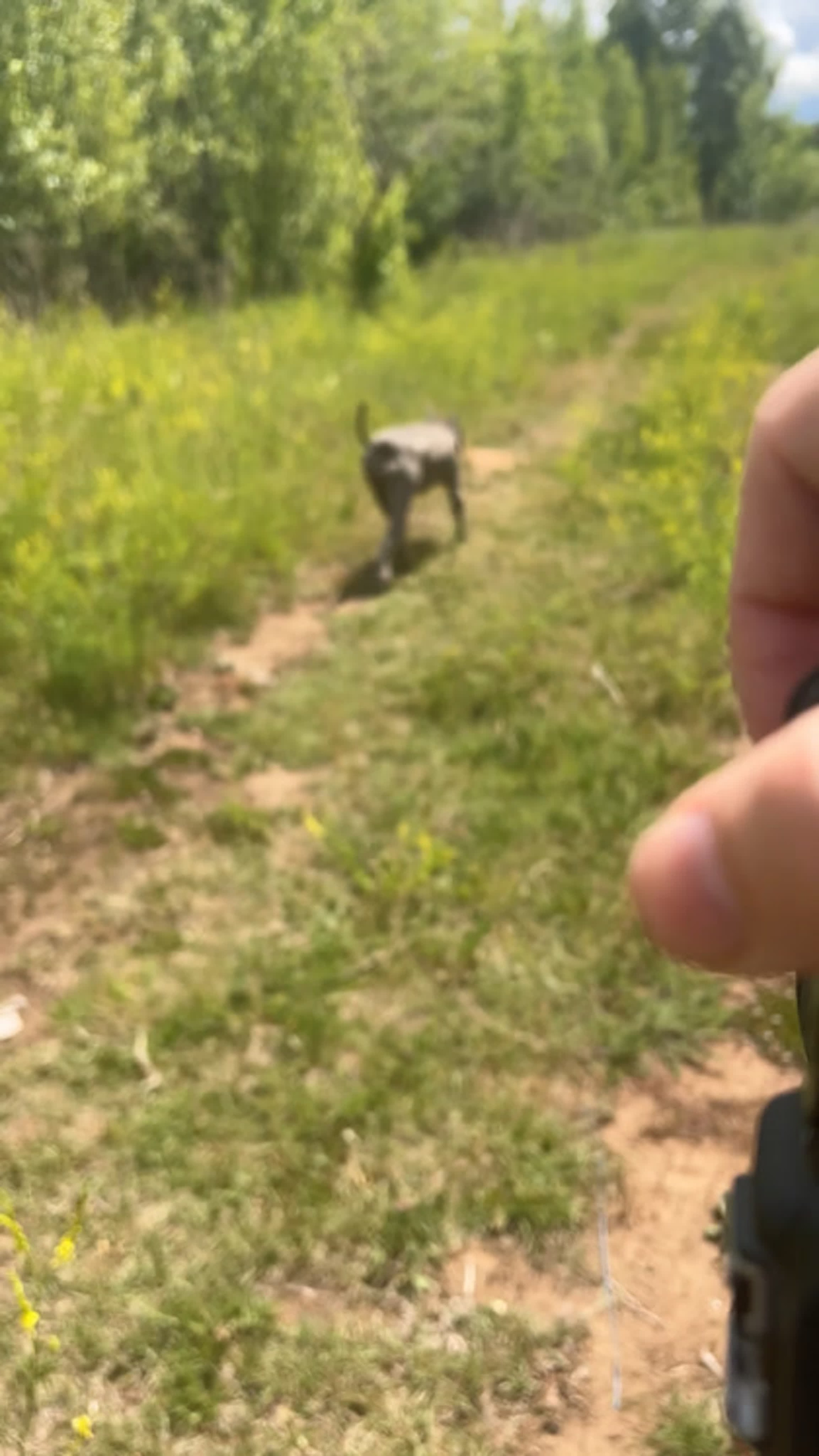 Животные альбом. Фотограф Каримов Виктор