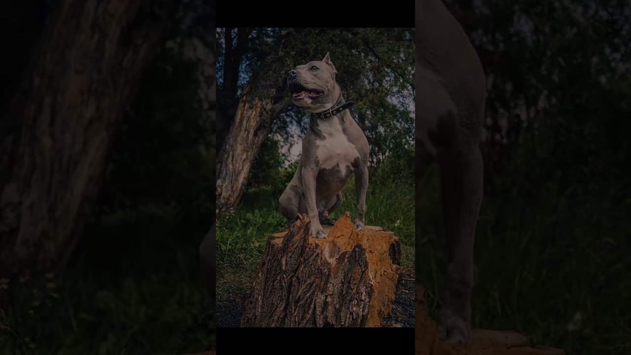 За кадром. Фотограф Каримов Виктор