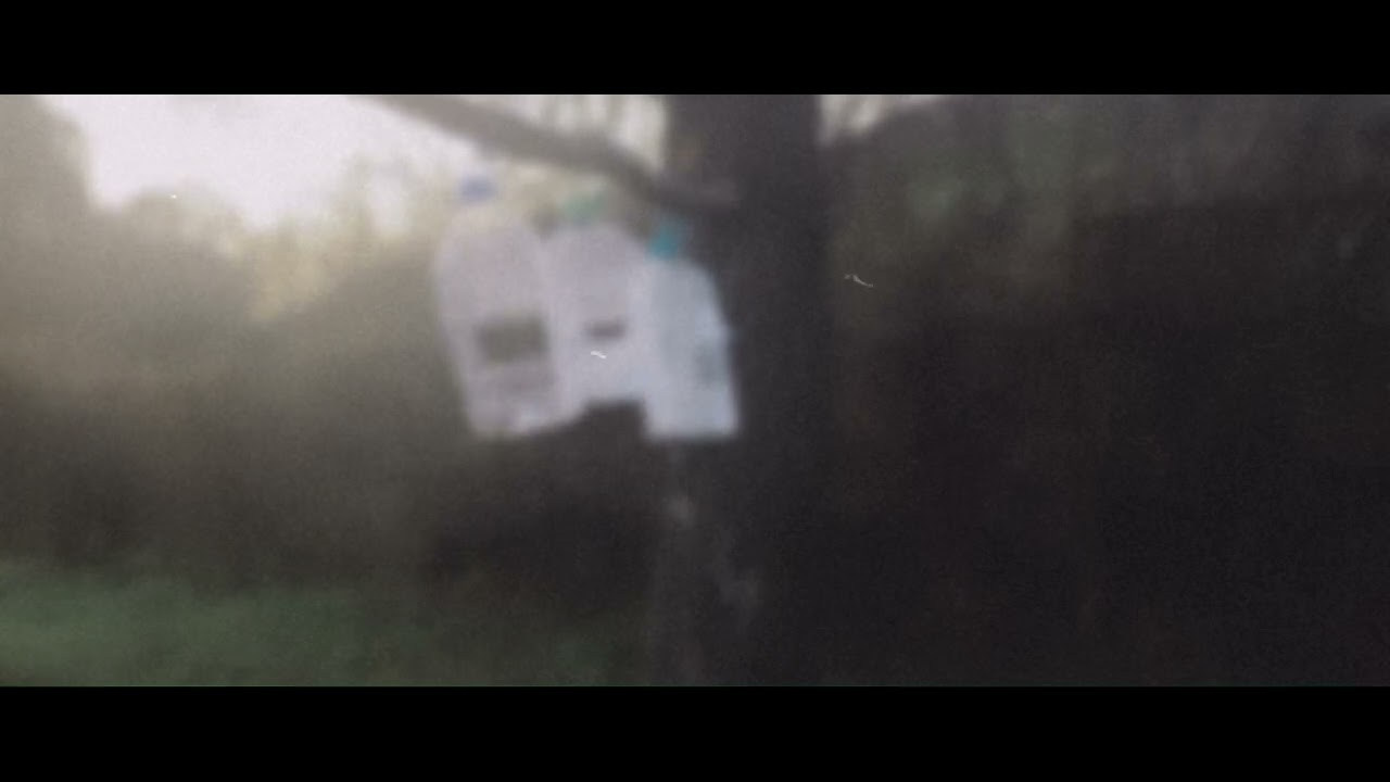 Здесь песни больше не слышны. Katya Medvedeva