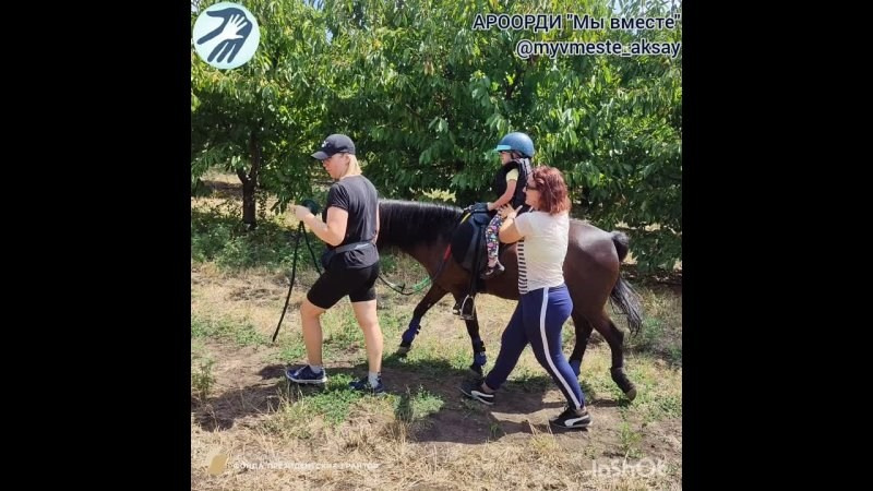 Выезды в поля на лошади