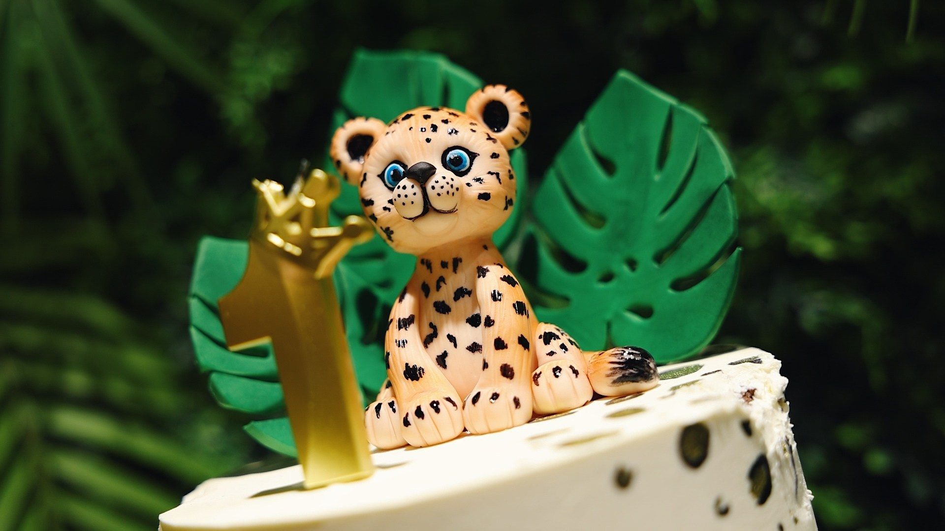 День рождения. Видеосъёмка праздников в Краснодаре