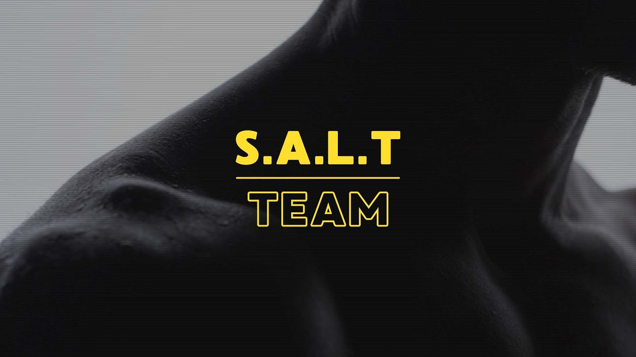 Portfolio. Создание визуального контента для бизнеса и блогов