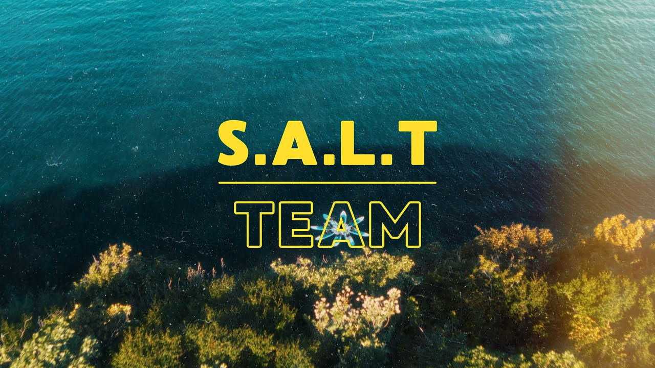 Portfolio. Создание визуального контента для бизнеса и блогов