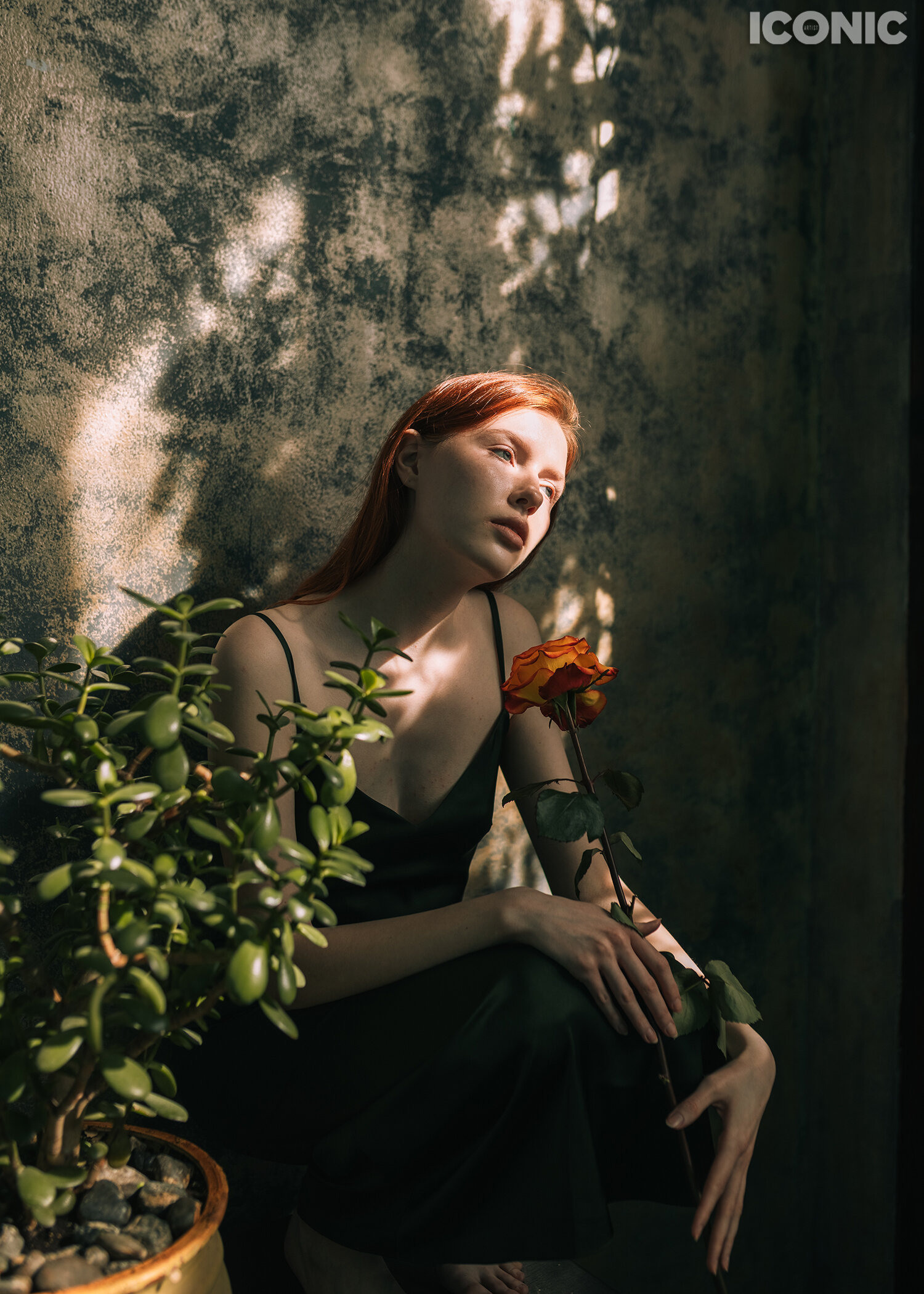 Бесплатное портфолио-ревю. Женский семейный фотограф Тула Москва Захарова Анна