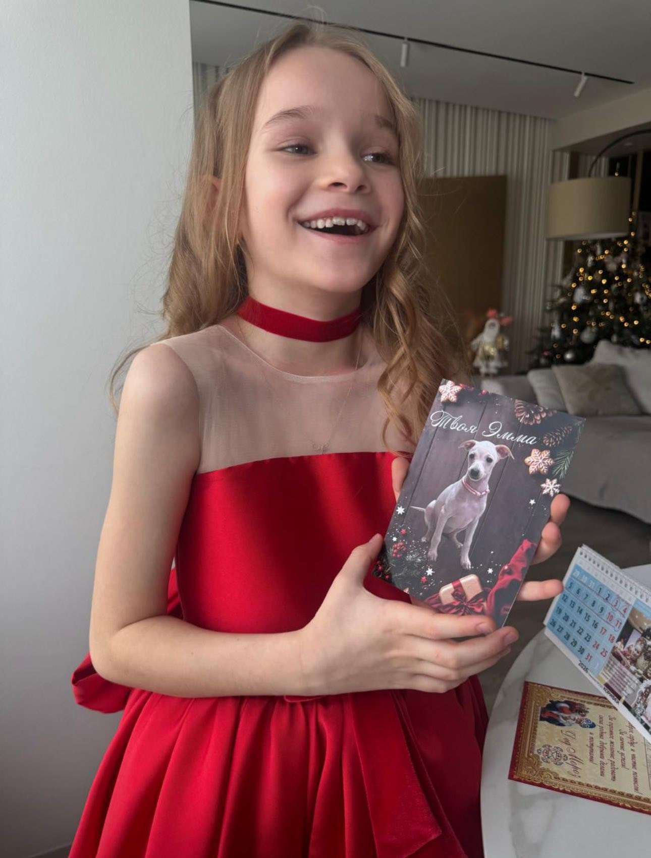 Профессиональный питомник левреток РКФ/FCI ASTI SAPPHIRE 💎 Сочи|Санкт-Петербург