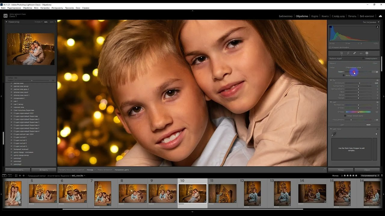 Коричневые пресеты, новый год 2024. Фотограф Дарья Берестова (Краснодар)