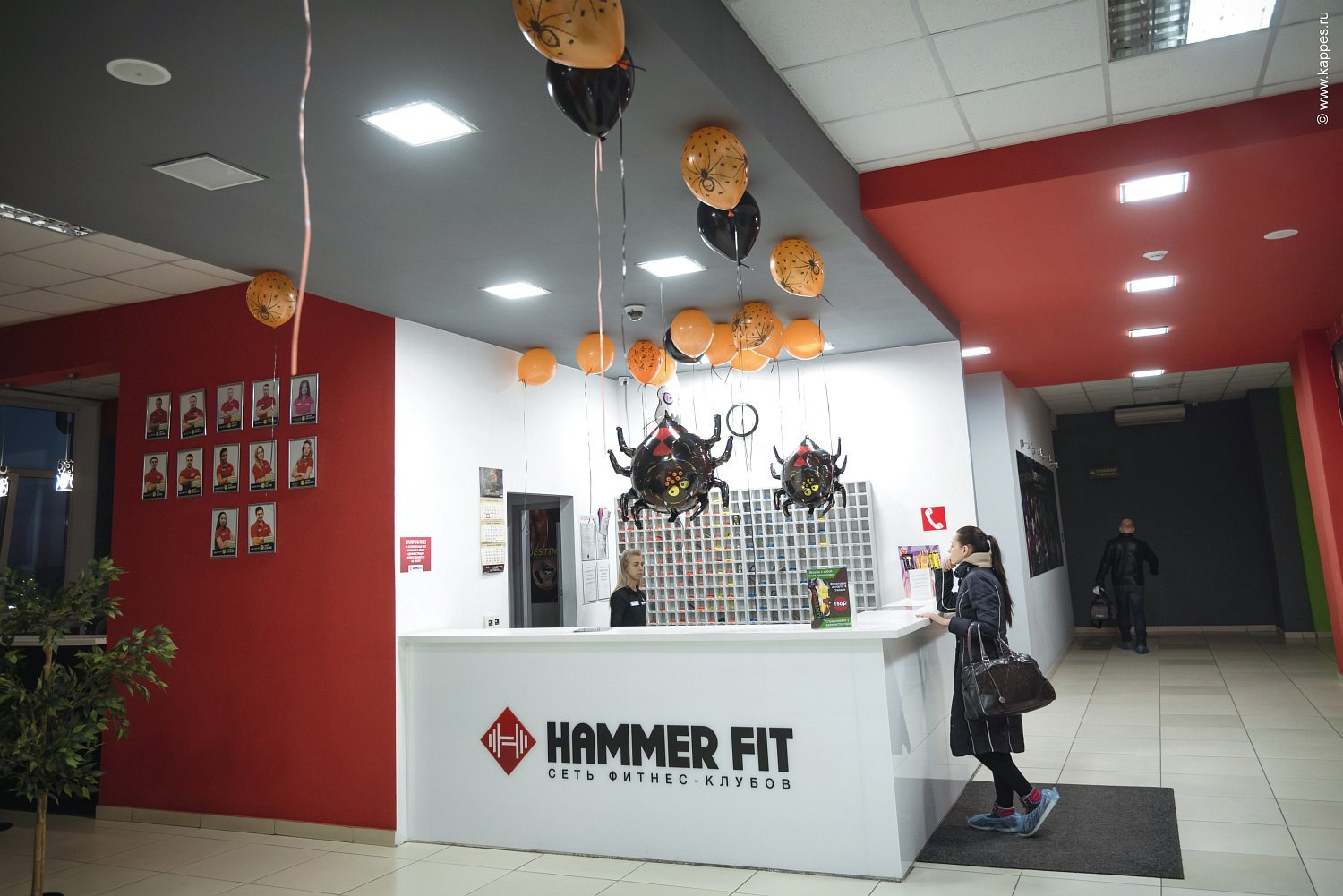 Фитнес-клуб HAMMER FIT | БАРНАУЛ. Фотограф Опыт Качество Скорость Горный Алтай Барнаул