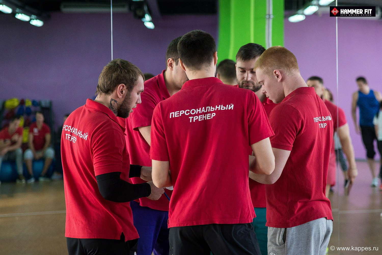 Фитнес-клуб HAMMER FIT | БАРНАУЛ. Фотограф Опыт Качество Скорость Горный Алтай Барнаул