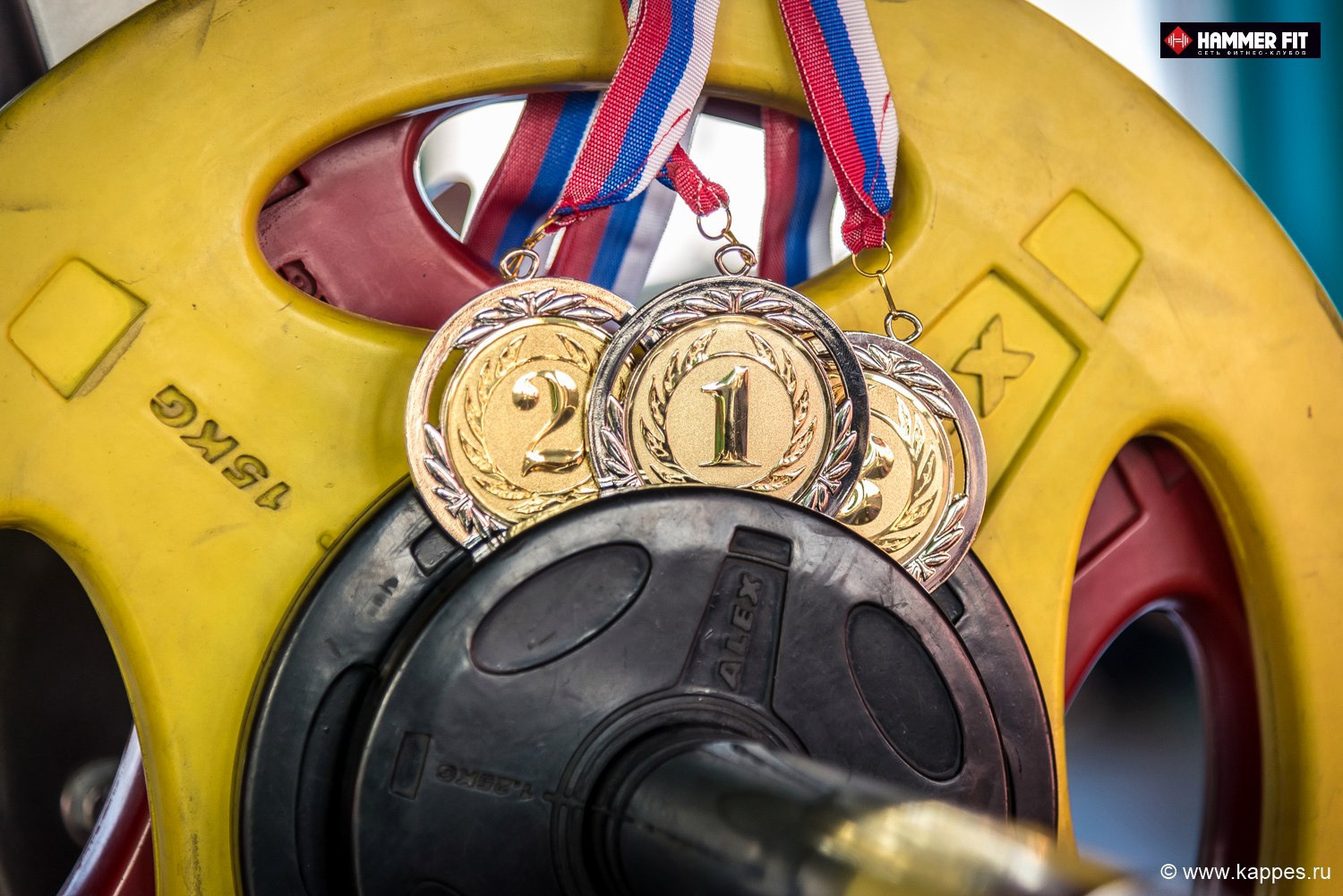 Фитнес-клуб HAMMER FIT | БАРНАУЛ. Фотограф Опыт Качество Скорость Горный Алтай Барнаул