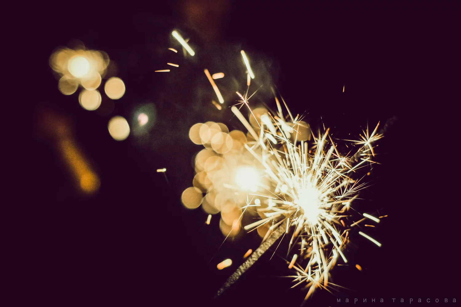 Мероприятия. Фотограф Марина Тарасова