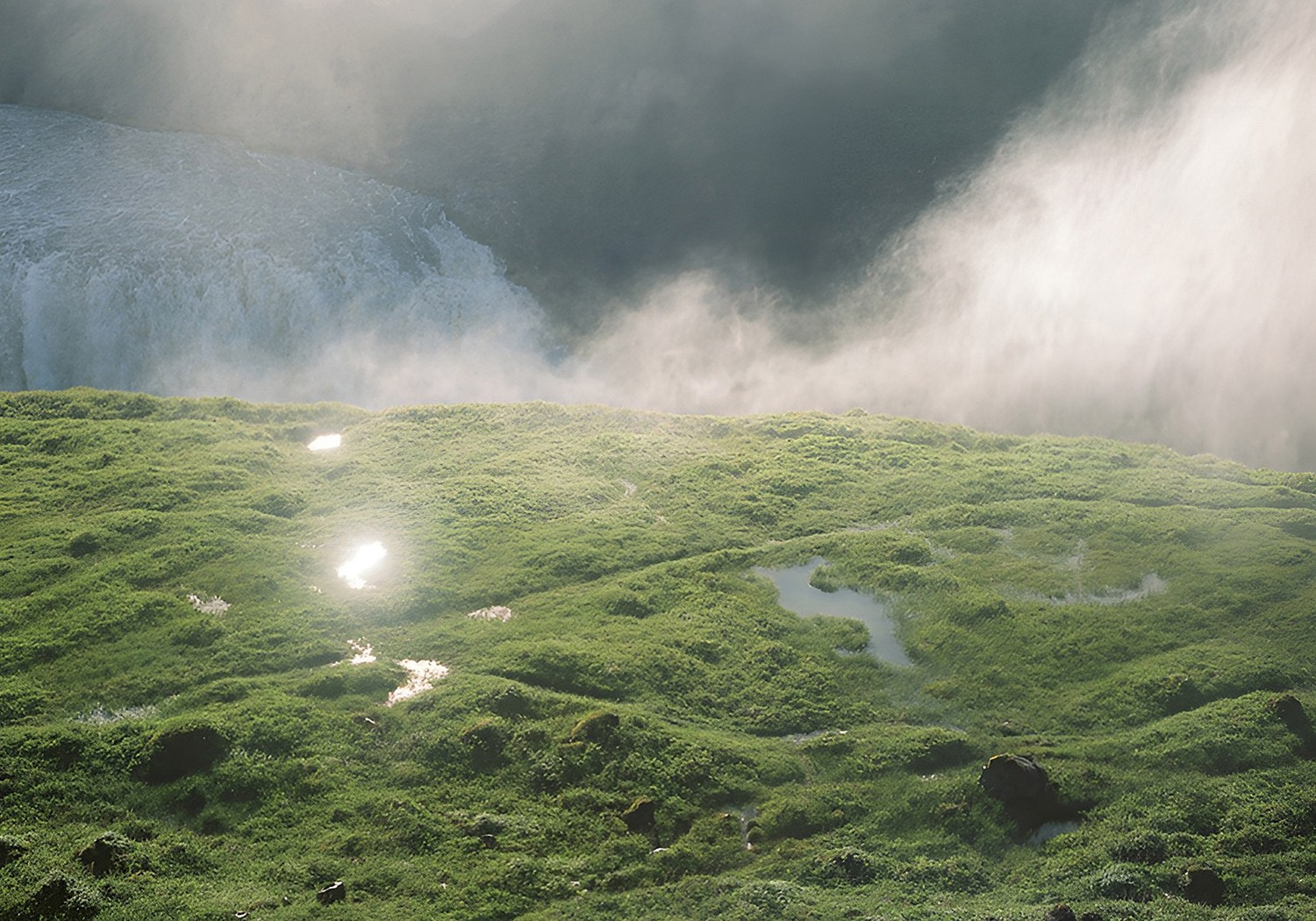 Таня Щербинина «Strange landscapes». Самоорганизация Низина