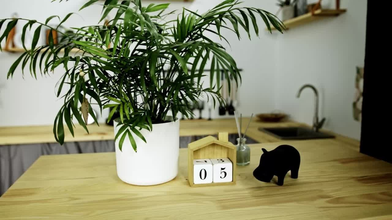 Karl. Киноцех «5loft» видеостудия в Ижевске