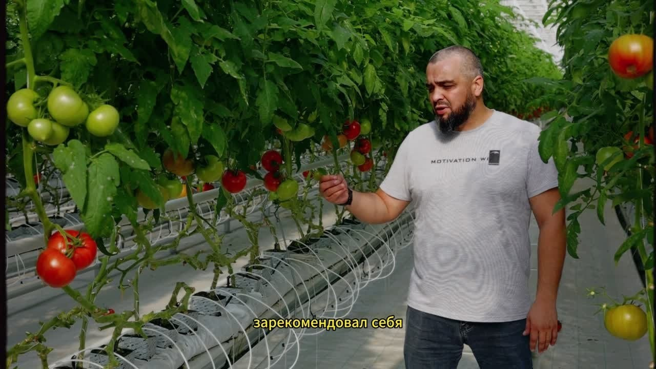 БИОЭНЕРГИЯ — Производство субстрата для теплиц, маты для выращивания