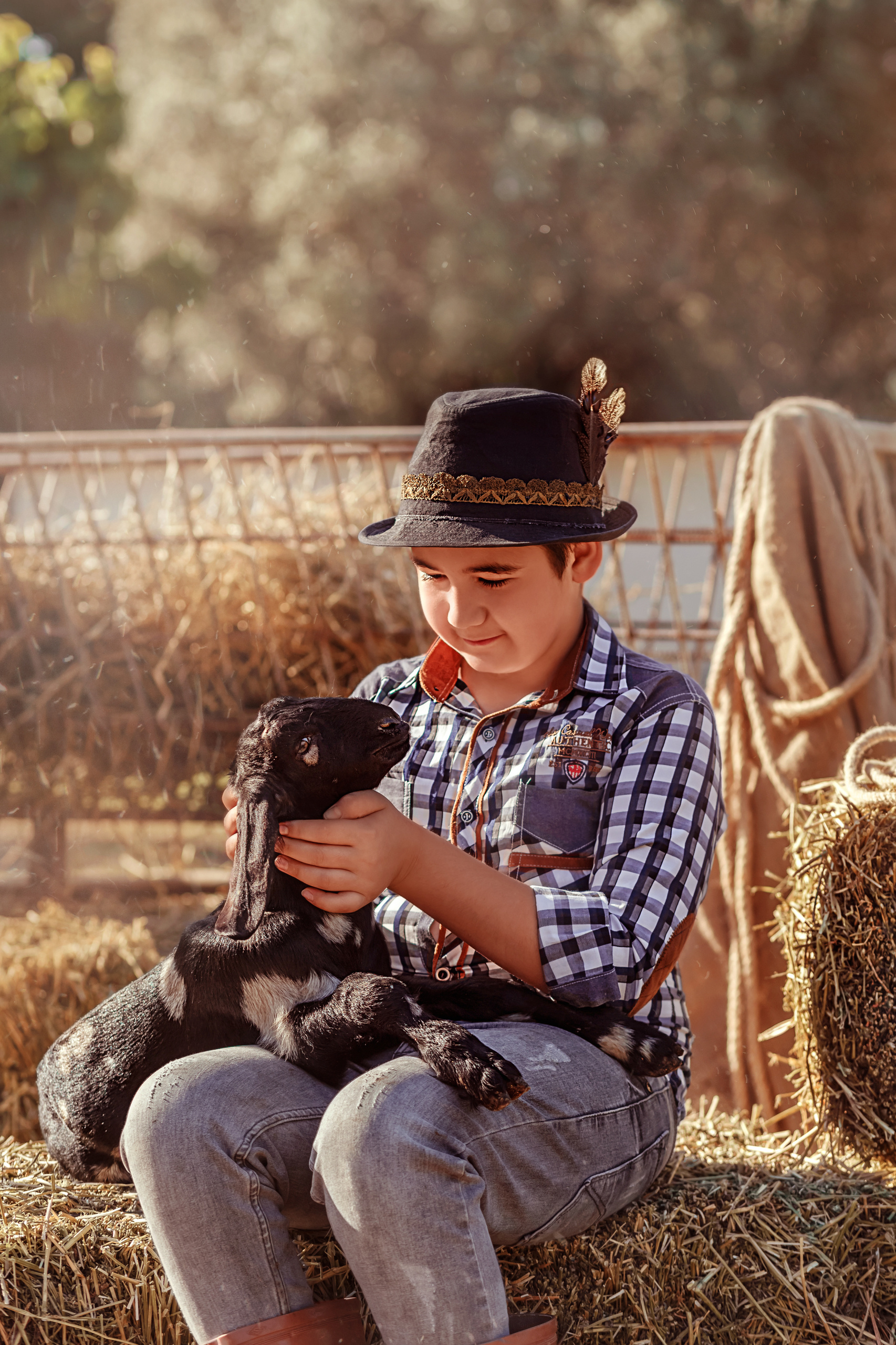 farm story