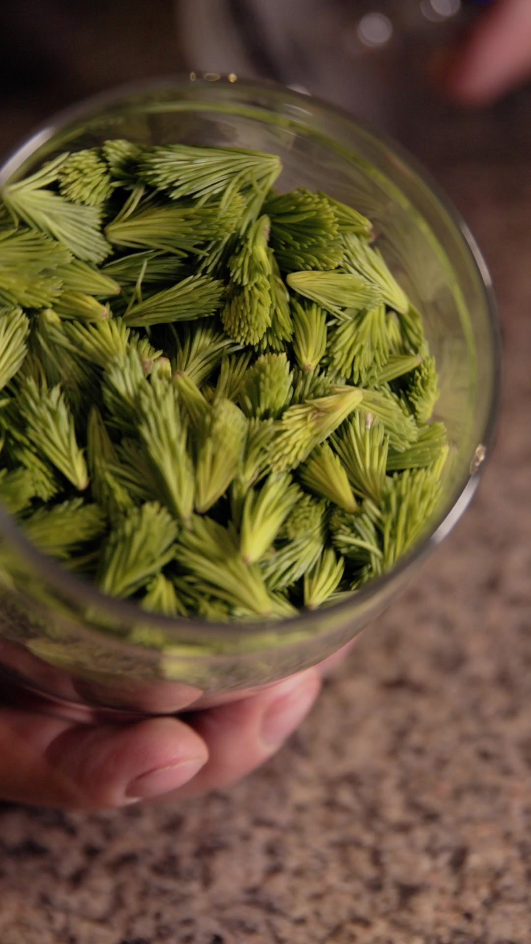 Фуд-видео и съёмка блюд | Портфолио видеопродакшна для ресторанов. Видео для бизнеса в Красноярске Biser production