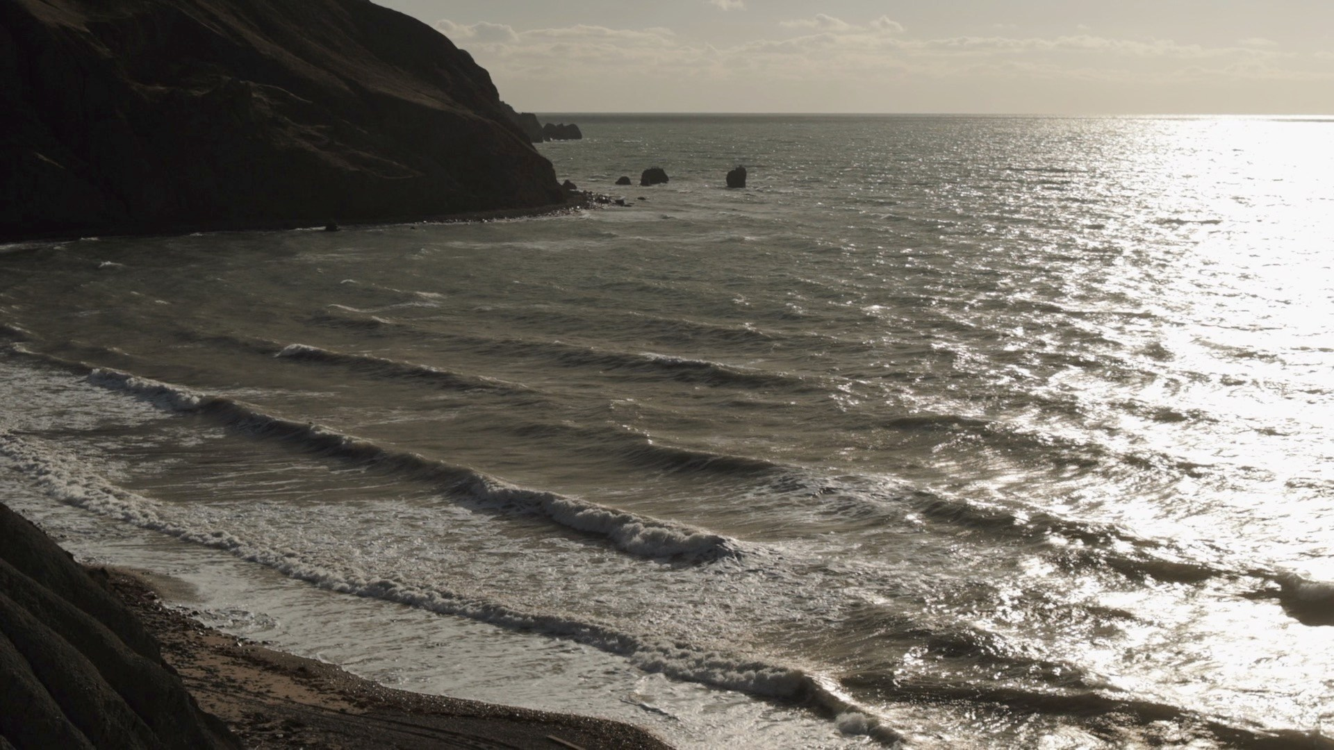 Юмористические ролики для компаний